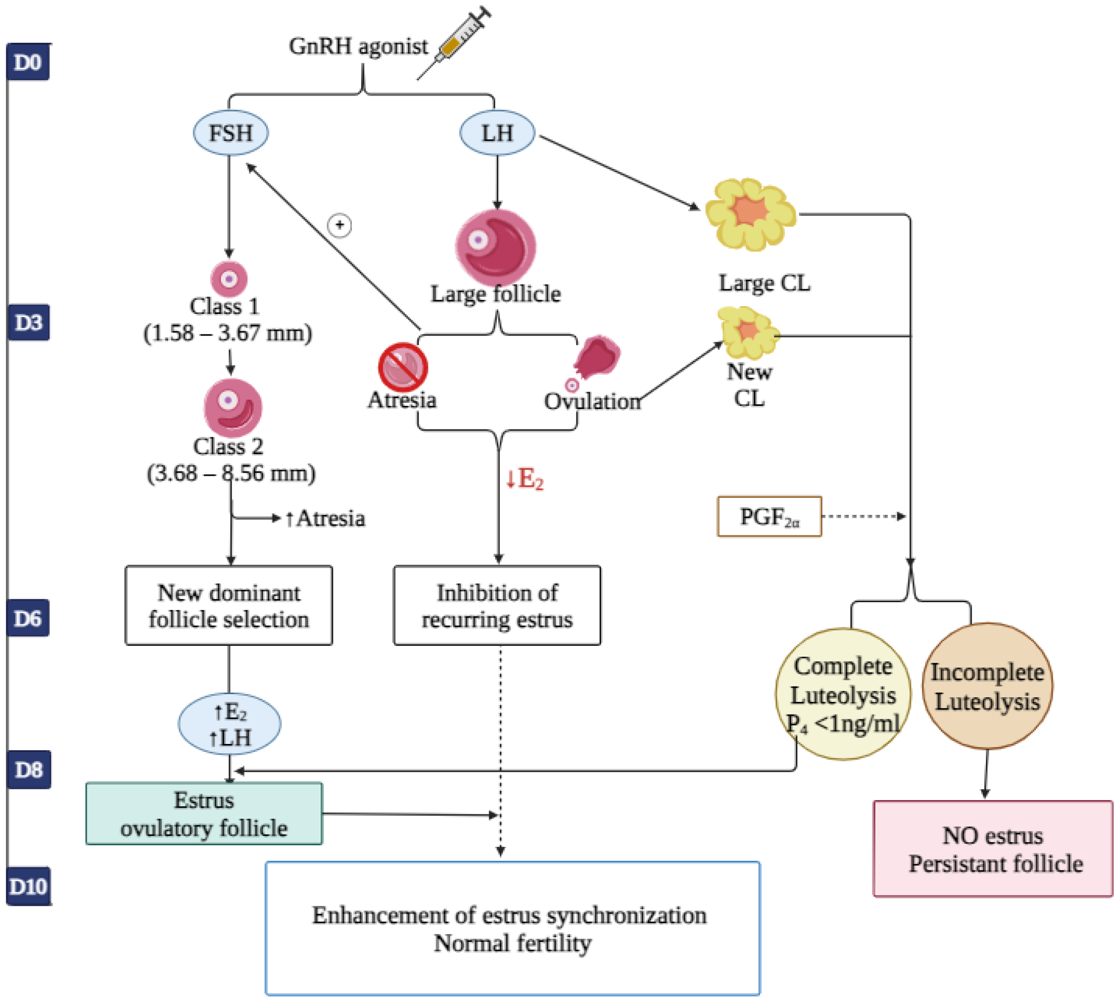 Animals 14 01473 g004