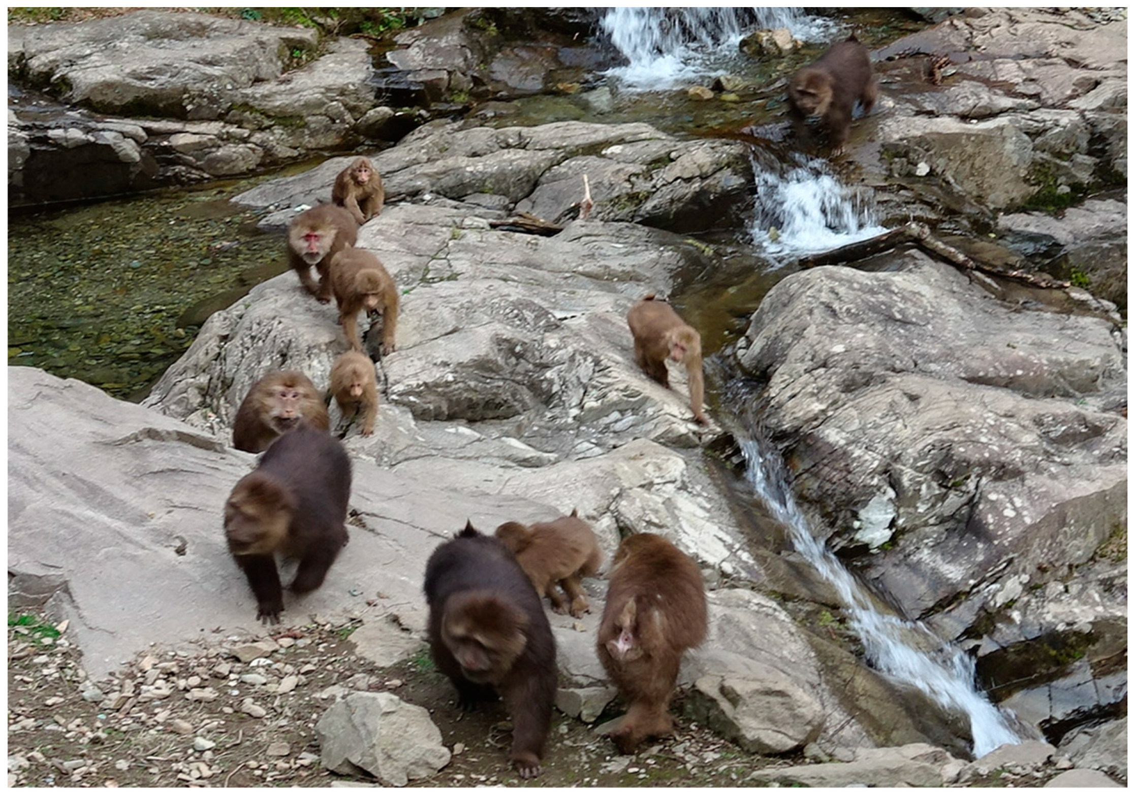 Animals 14 01476 g001