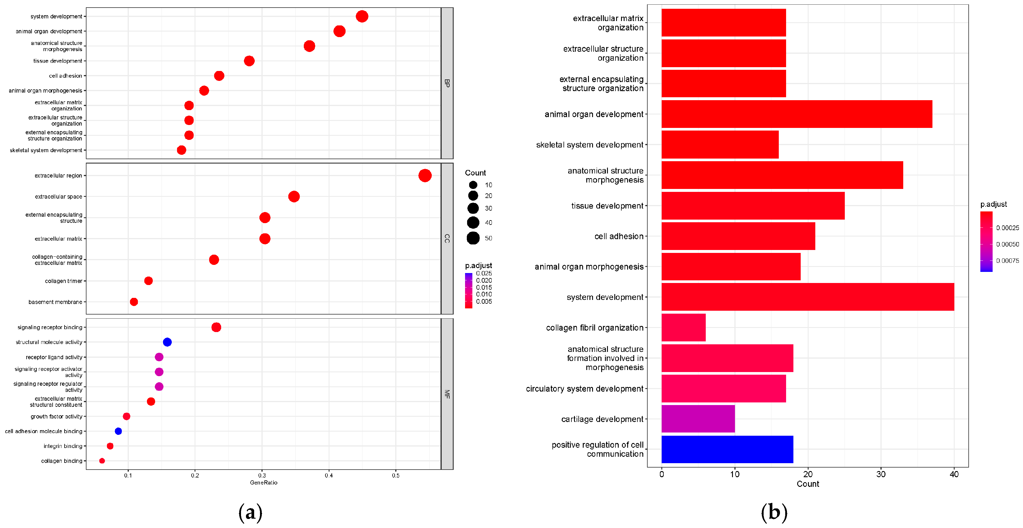 Animals 14 01477 g004