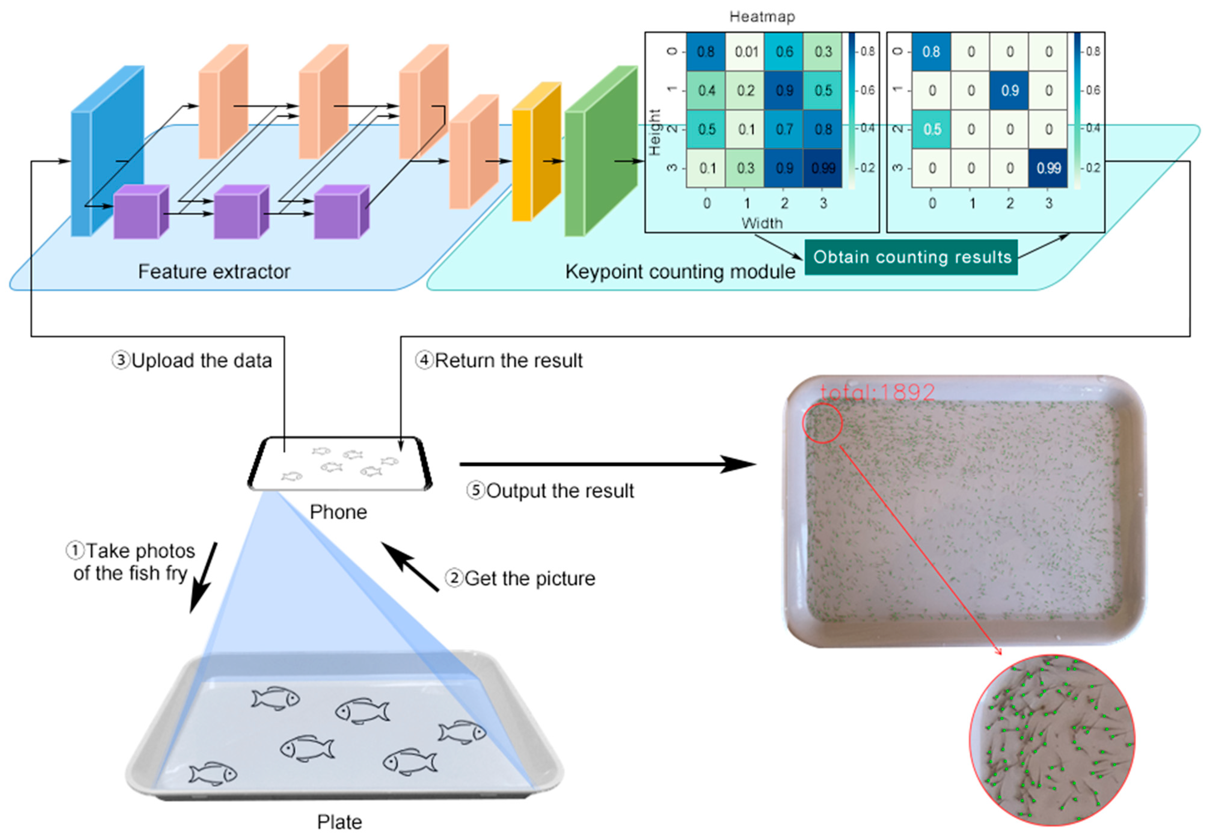 Animals 14 01490 g001