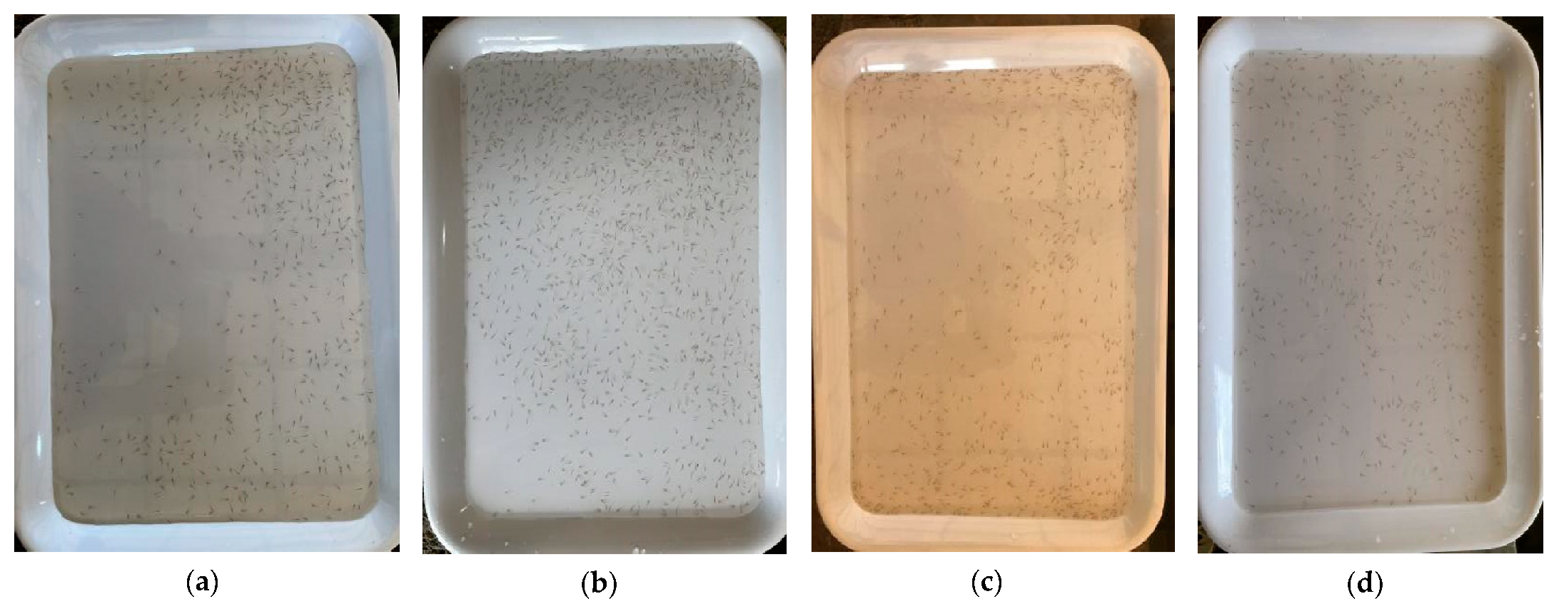 Animals 14 01490 g002a