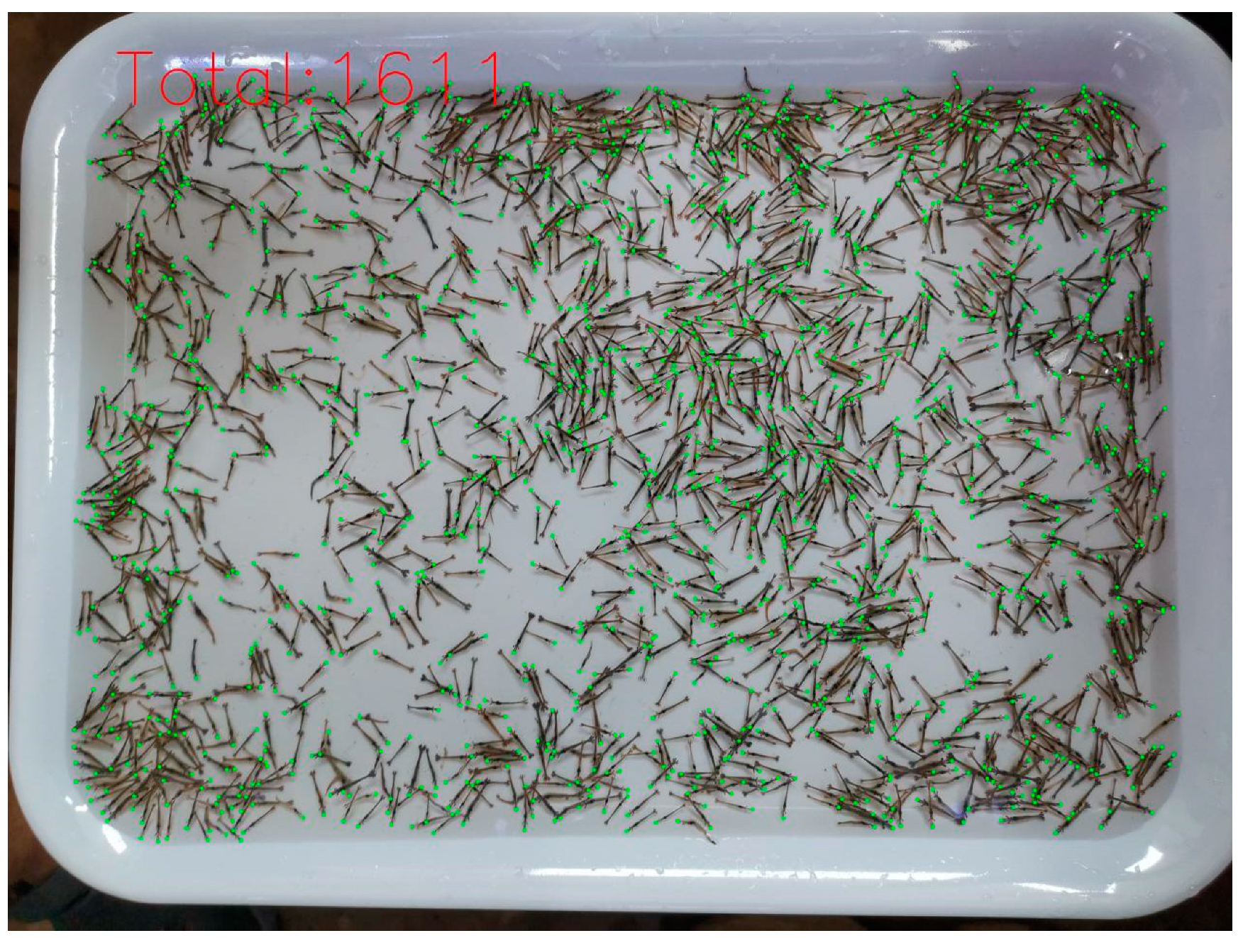 Animals 14 01490 g009