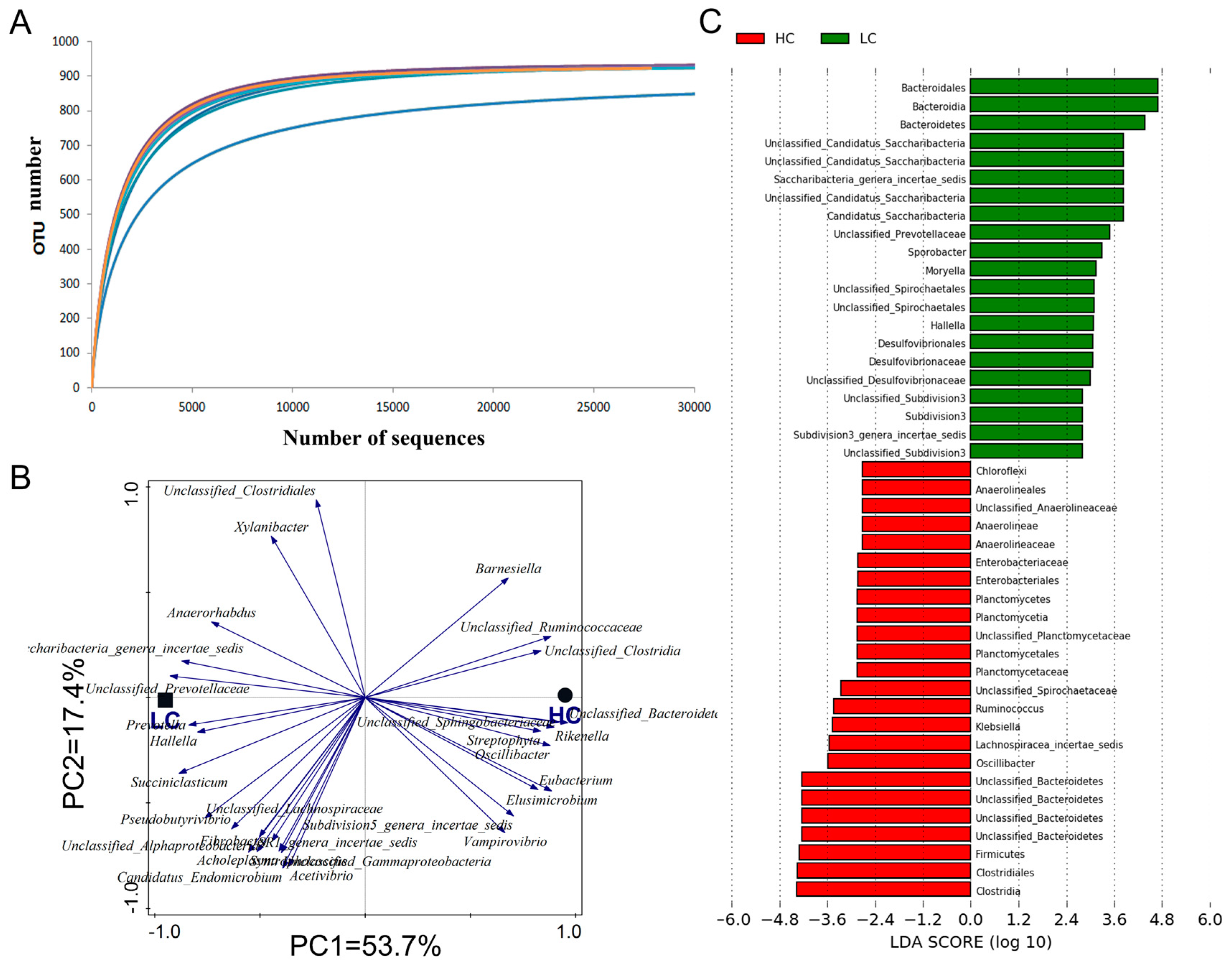 Animals 14 01495 g001