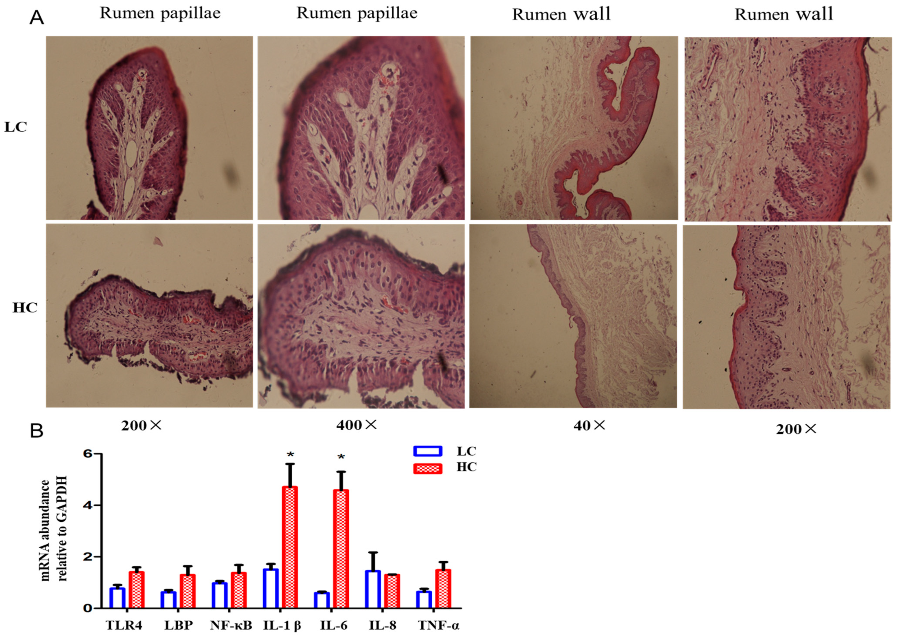 Animals 14 01495 g003