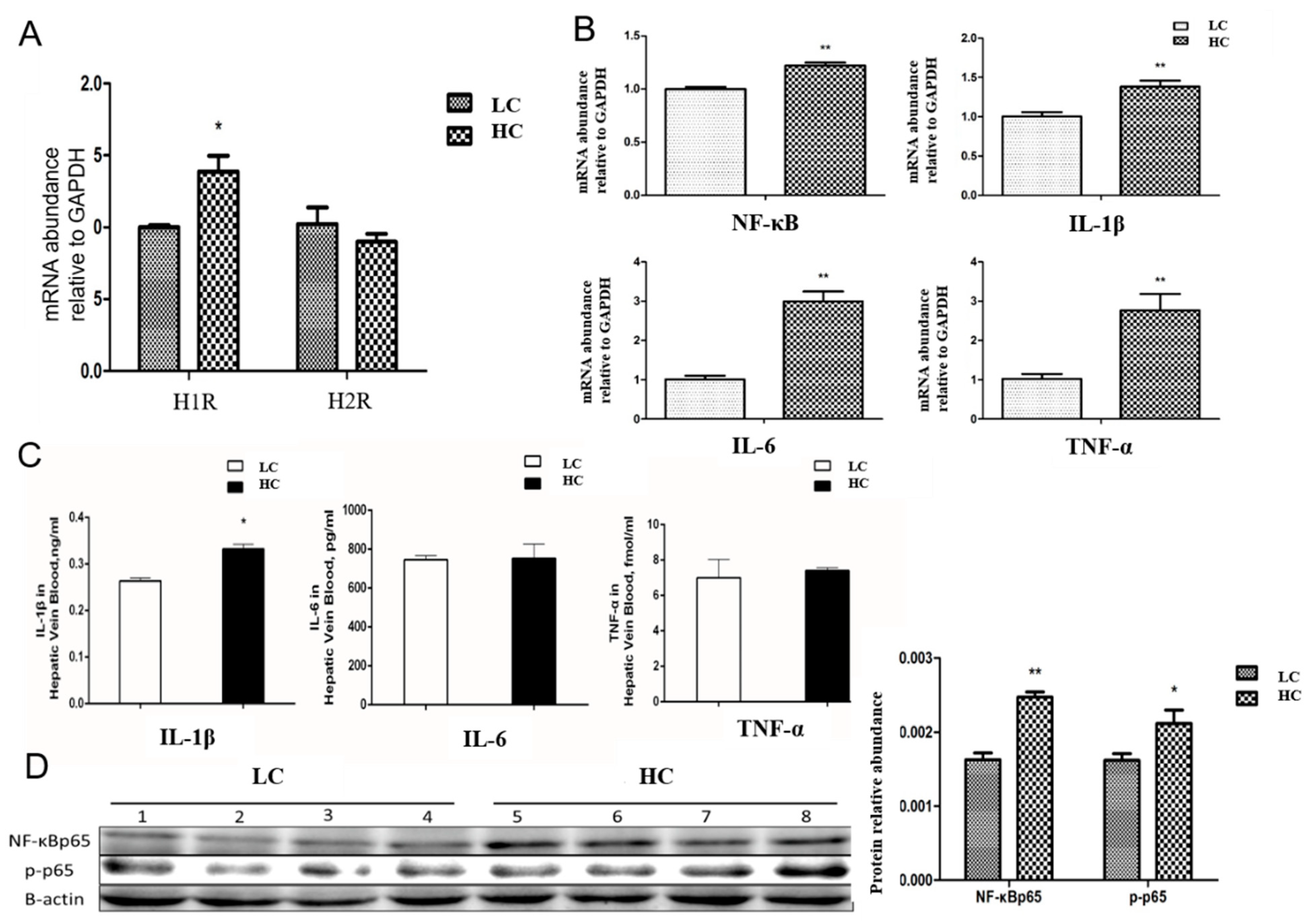 Animals 14 01495 g005