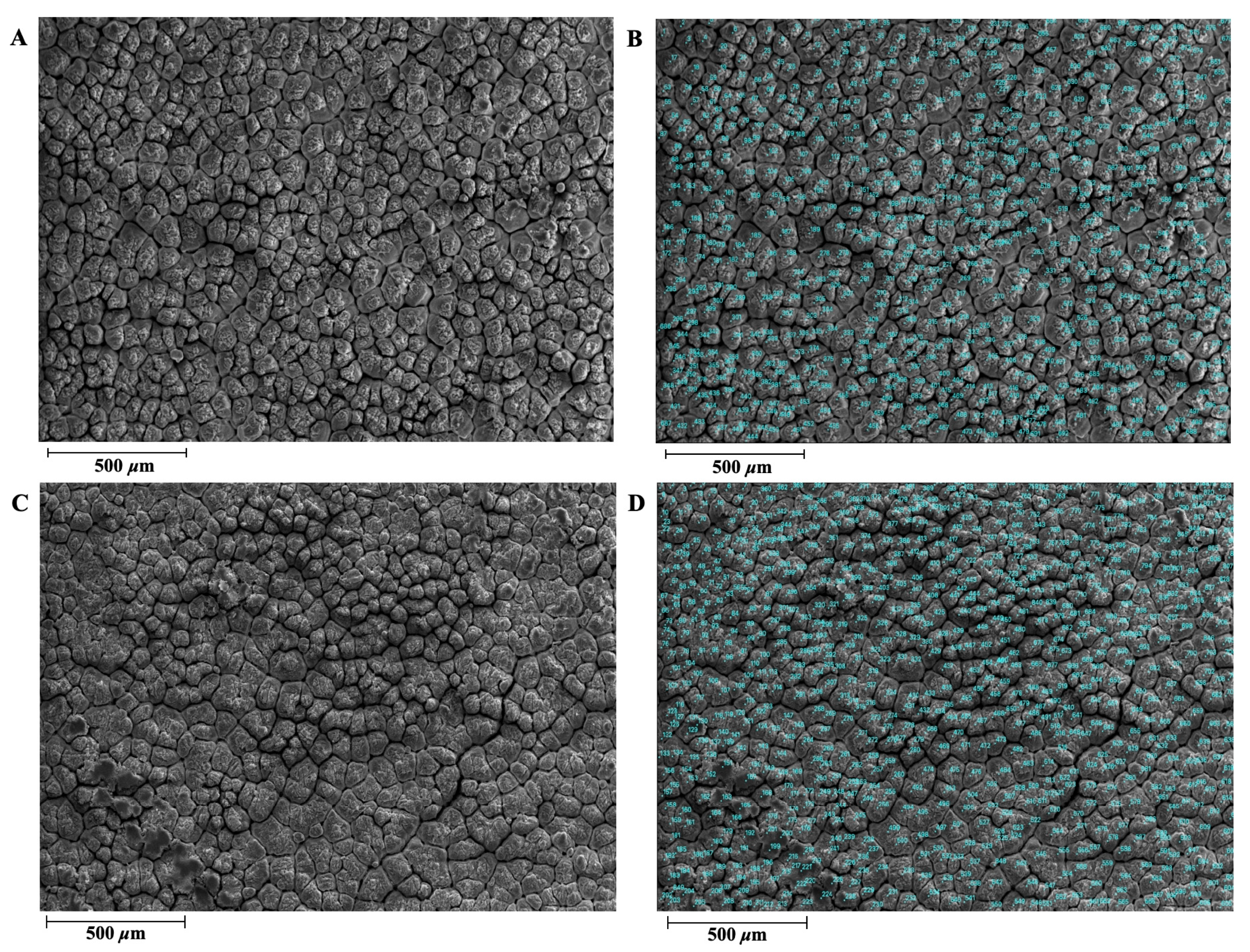 Animals 14 01496 g001