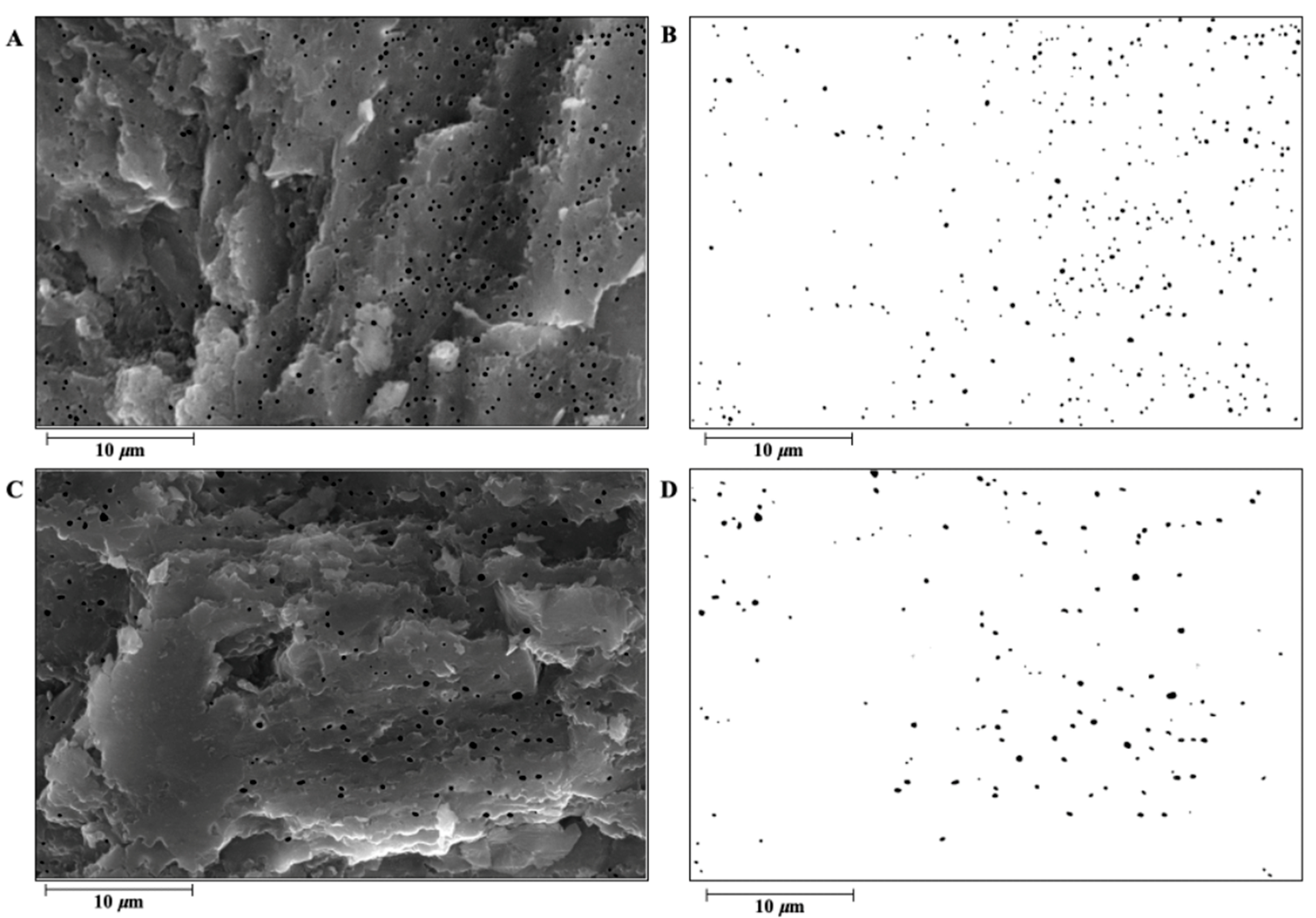 Animals 14 01496 g003