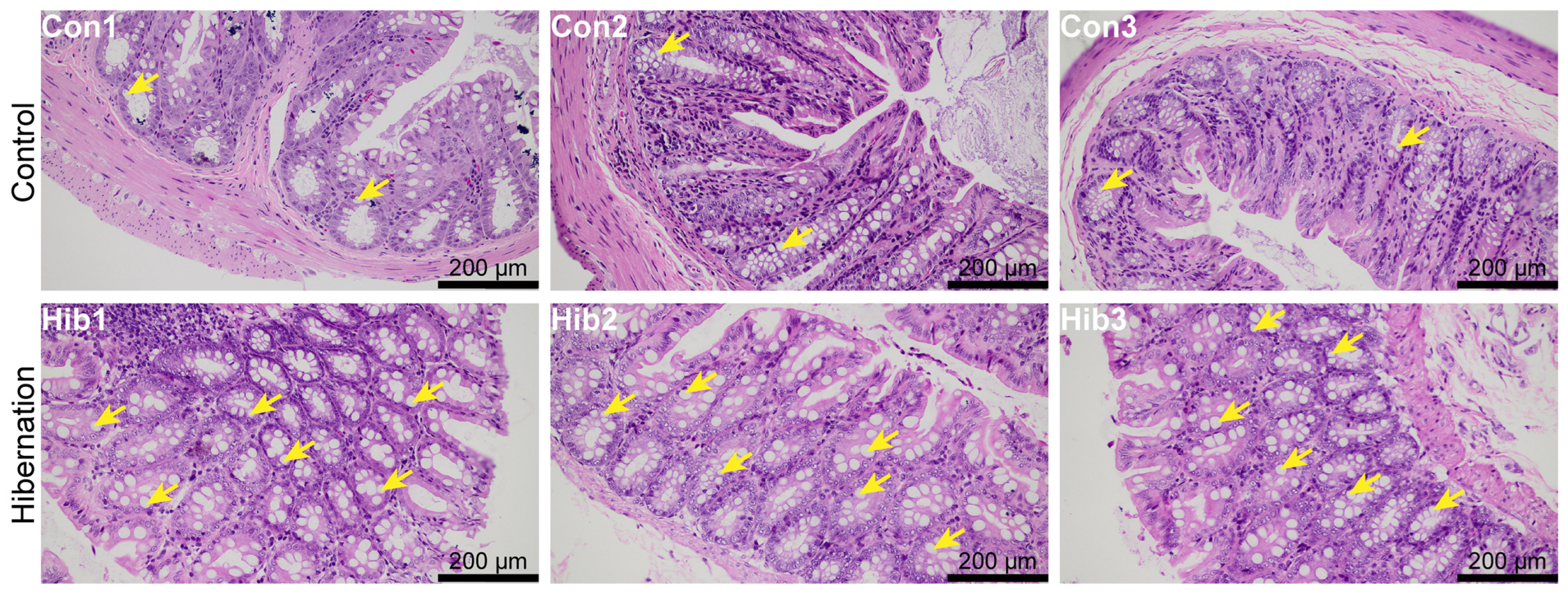 Animals 14 01498 g001