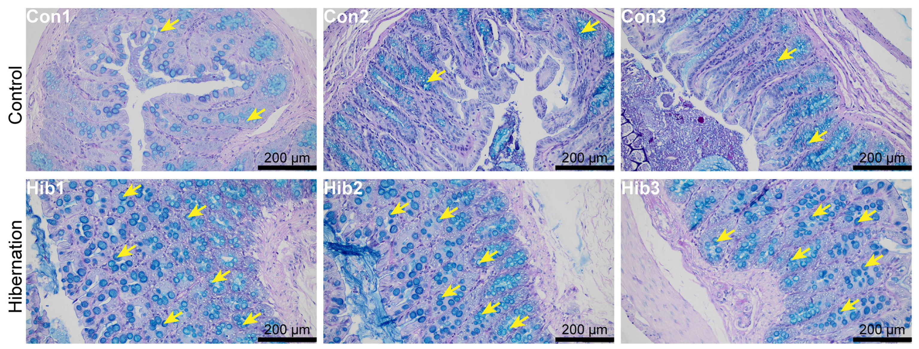 Animals 14 01498 g002