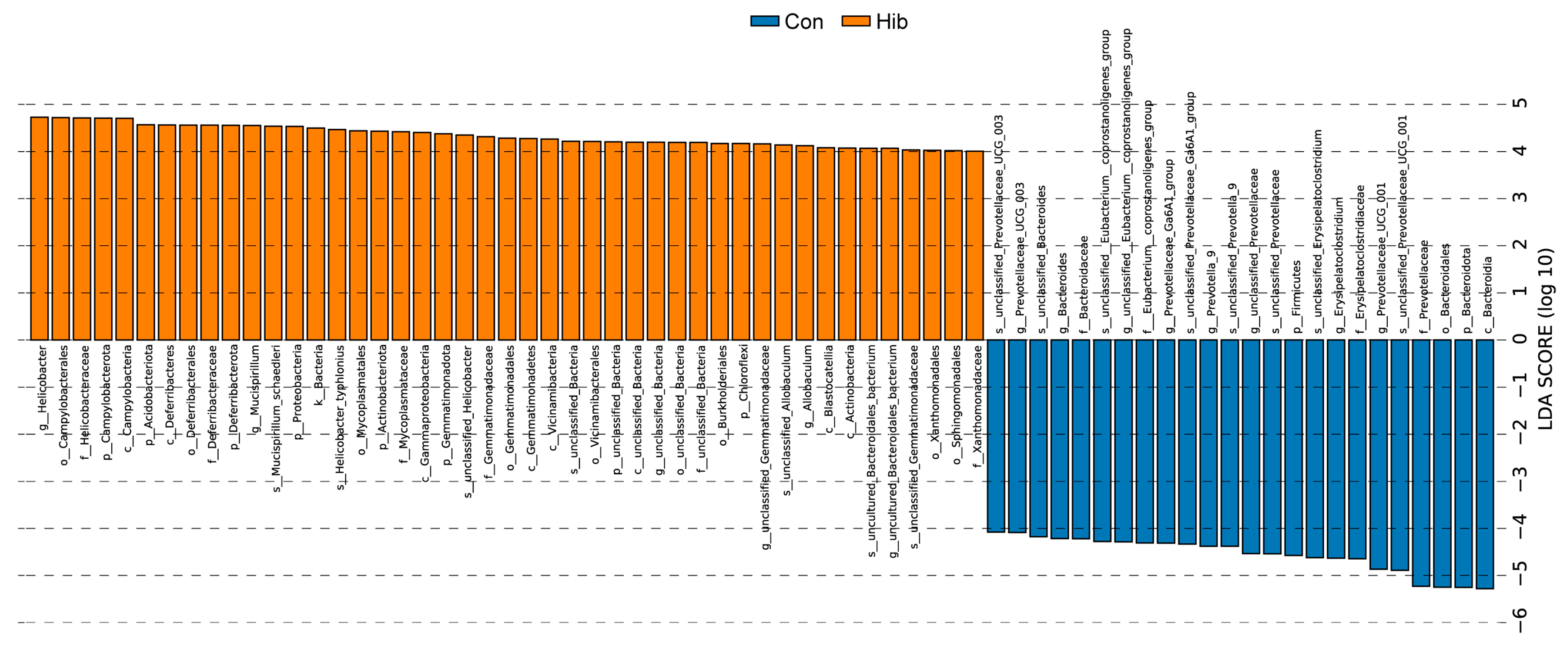 Animals 14 01498 g008
