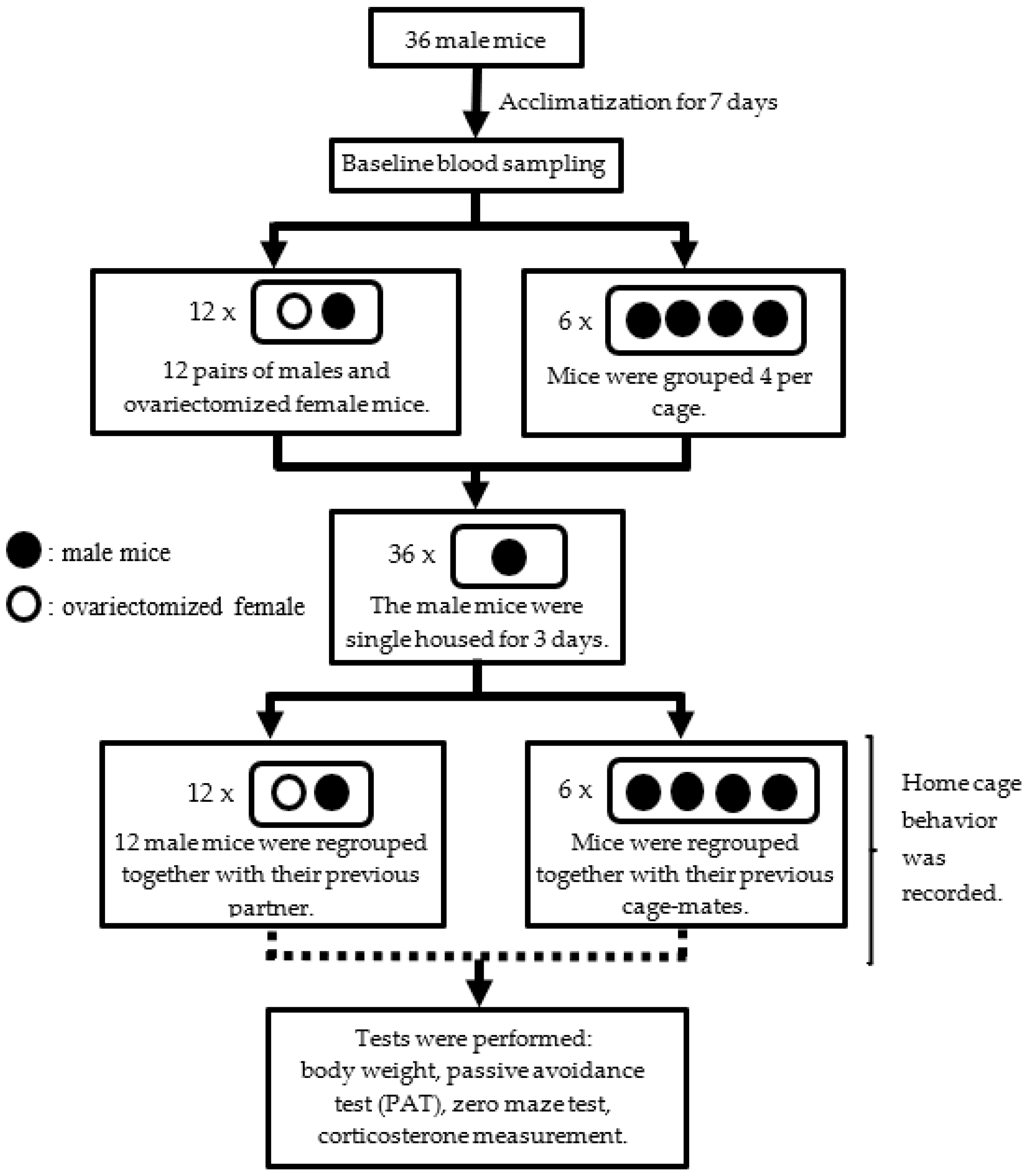 Animals 14 01503 g001
