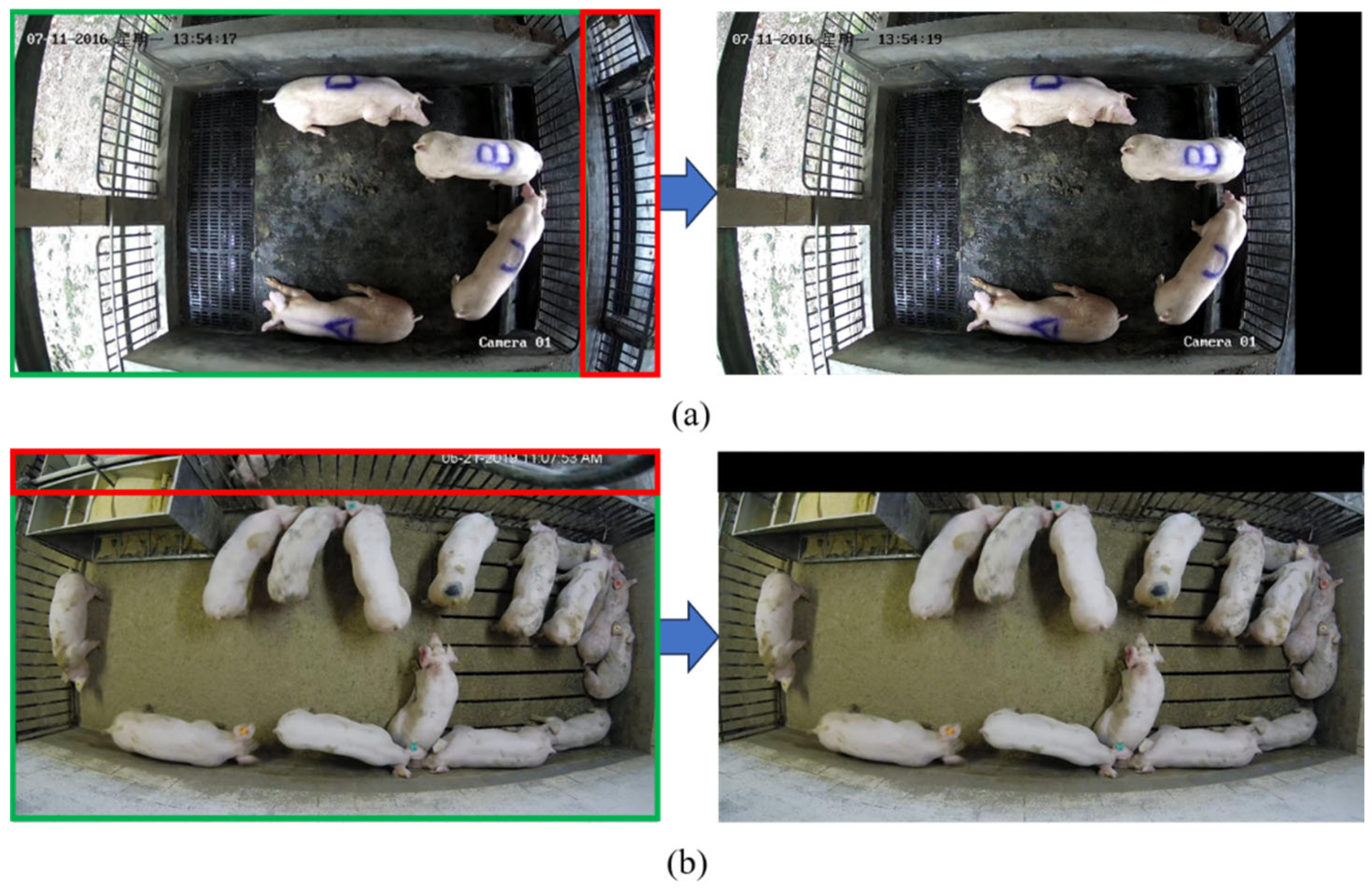 Animals 14 01505 g002