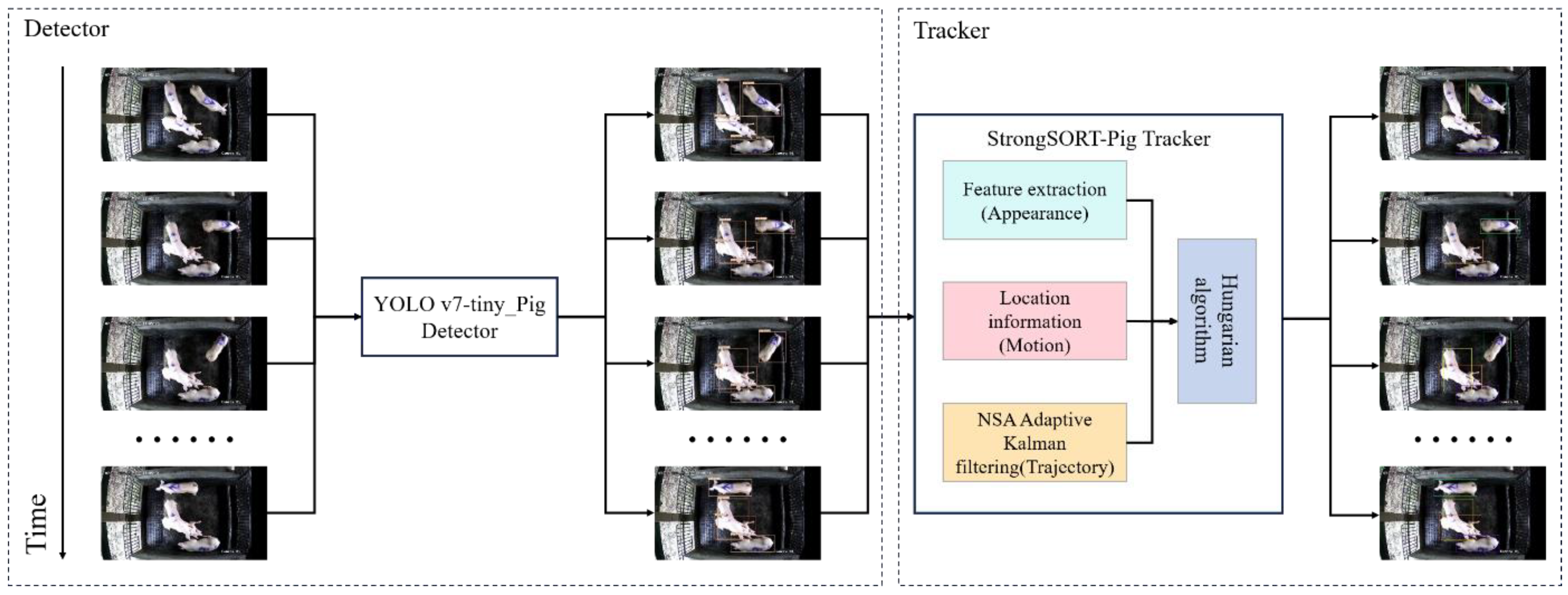 Animals 14 01505 g003