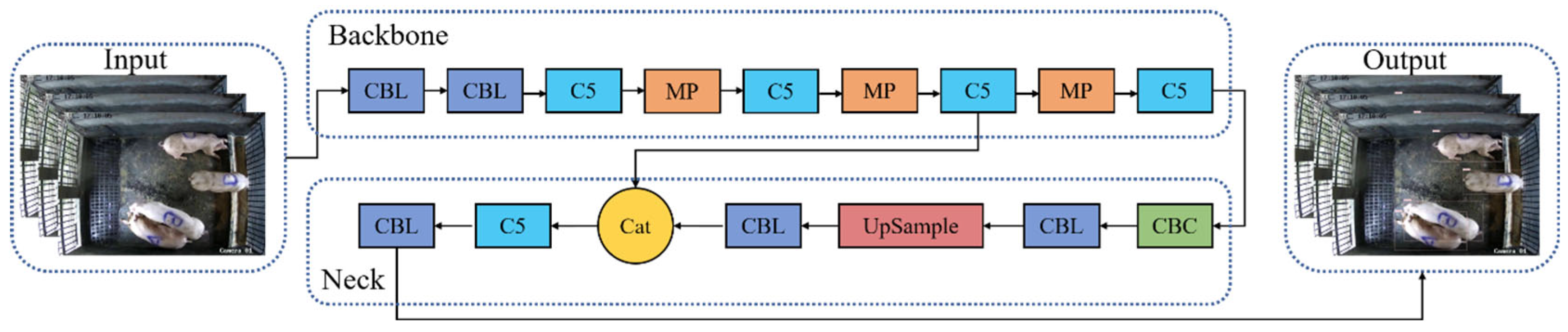 Animals 14 01505 g005