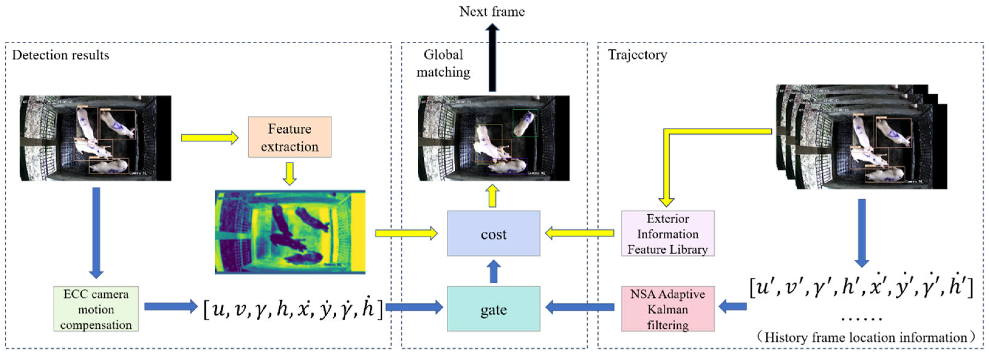 Animals 14 01505 g006
