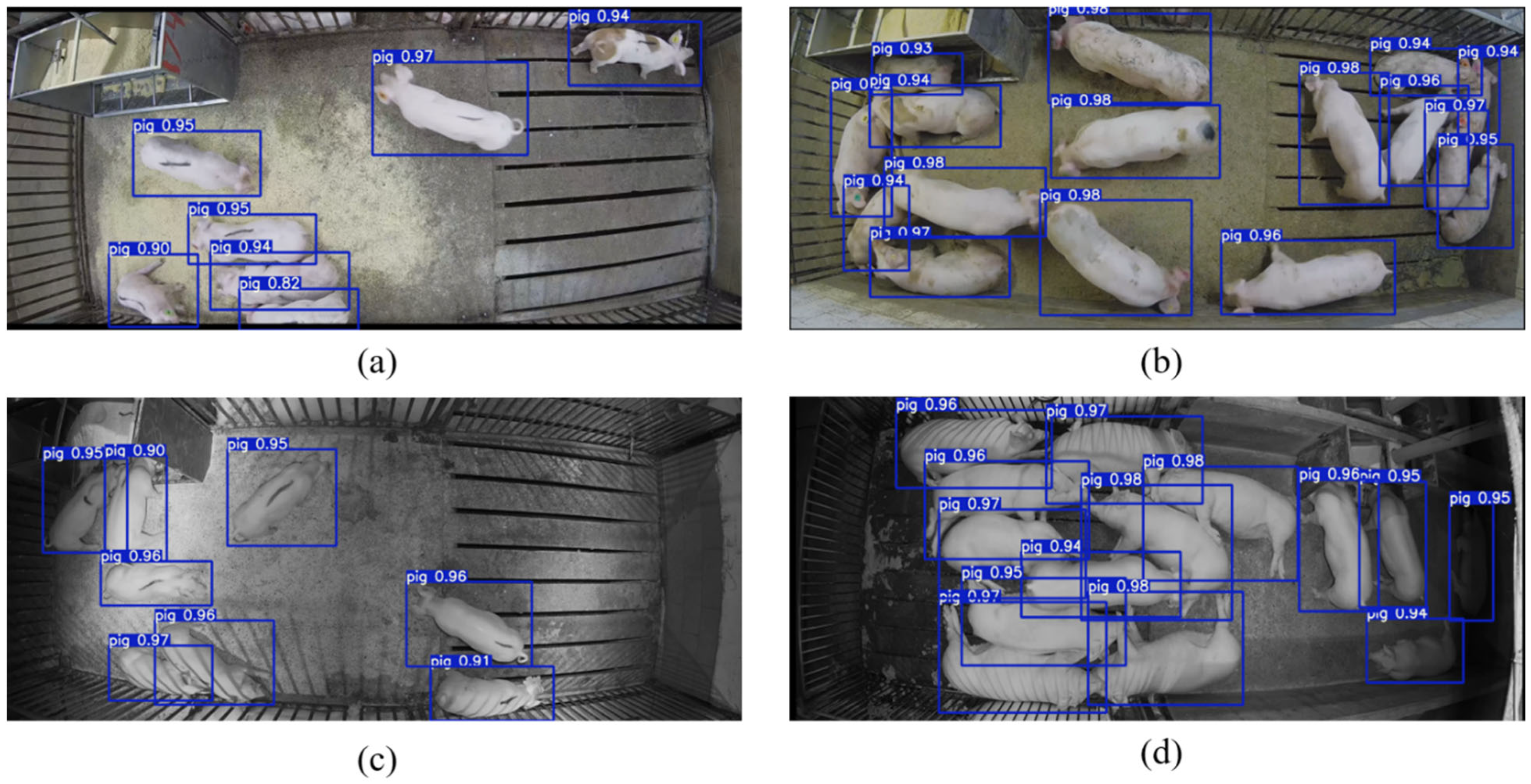 Animals 14 01505 g009