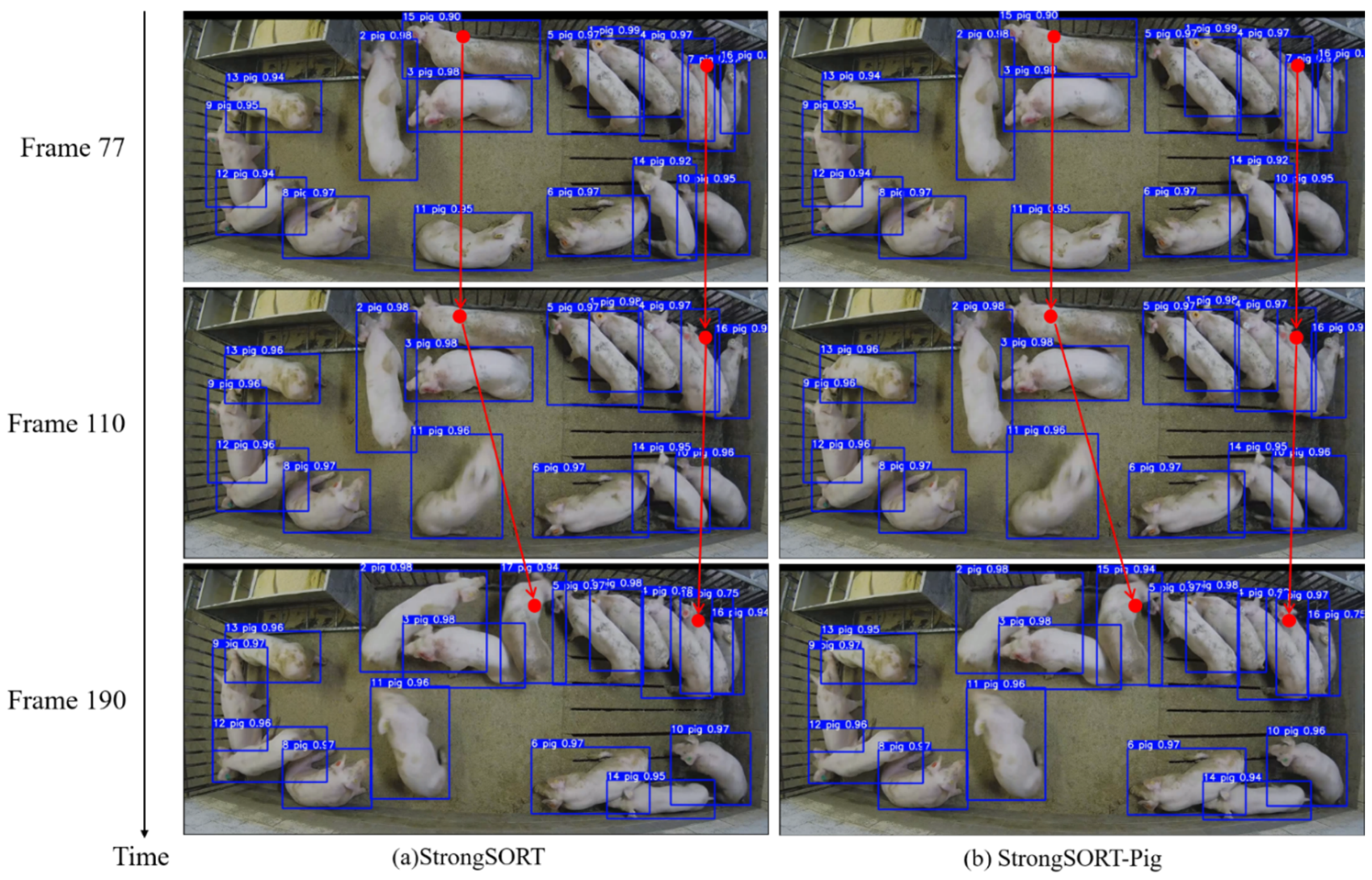 Animals 14 01505 g010