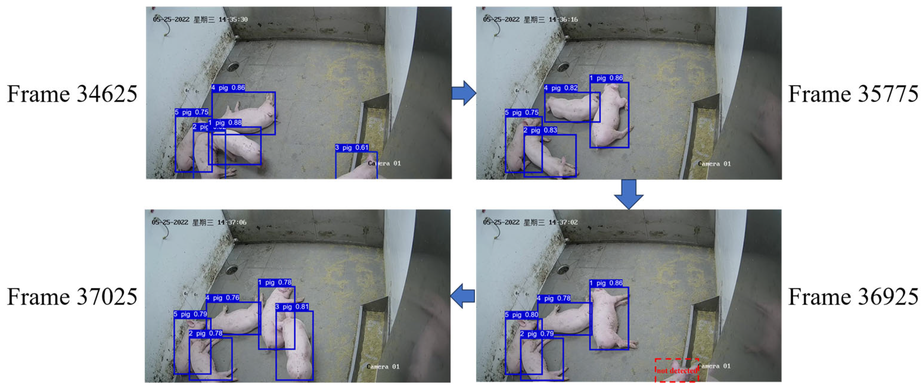 Animals 14 01505 g013