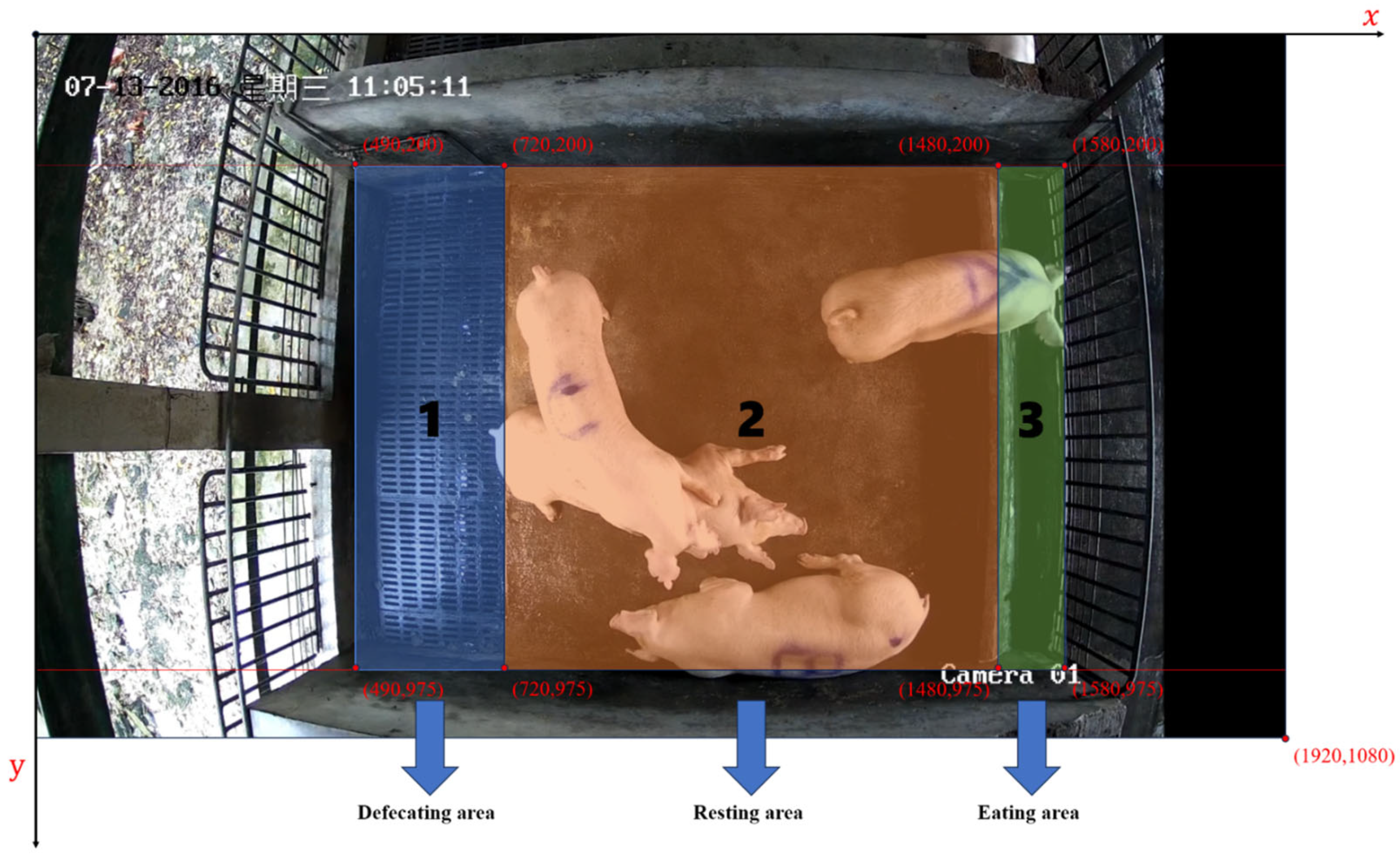 Animals 14 01505 g014