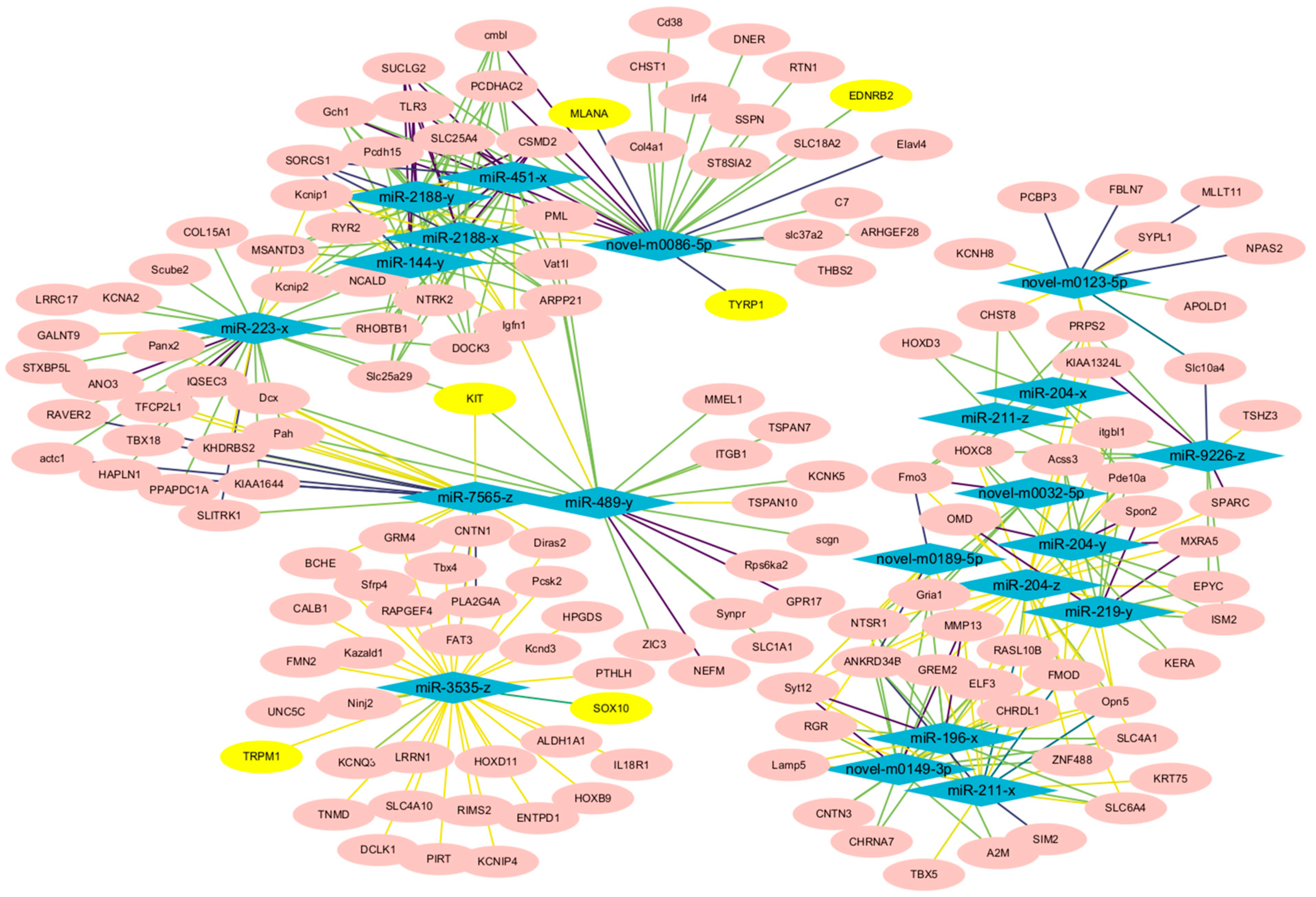 Animals 14 01508 g004