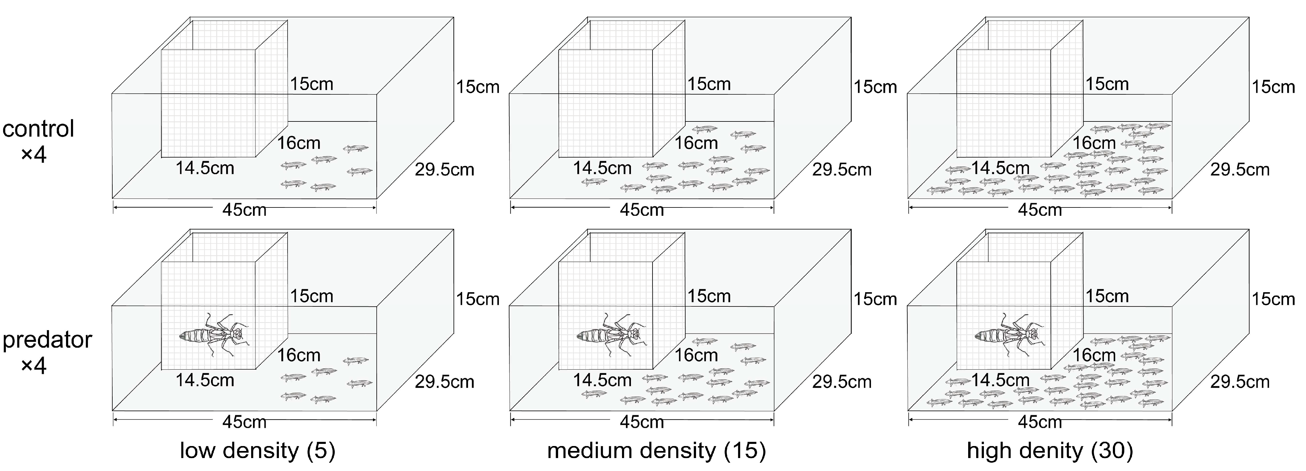 Animals 14 01510 g001