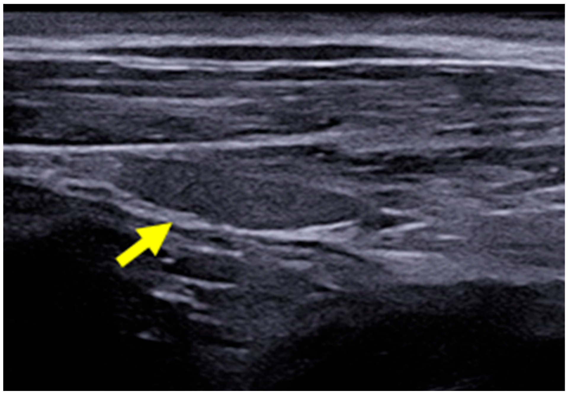 Animals 14 01528 g002