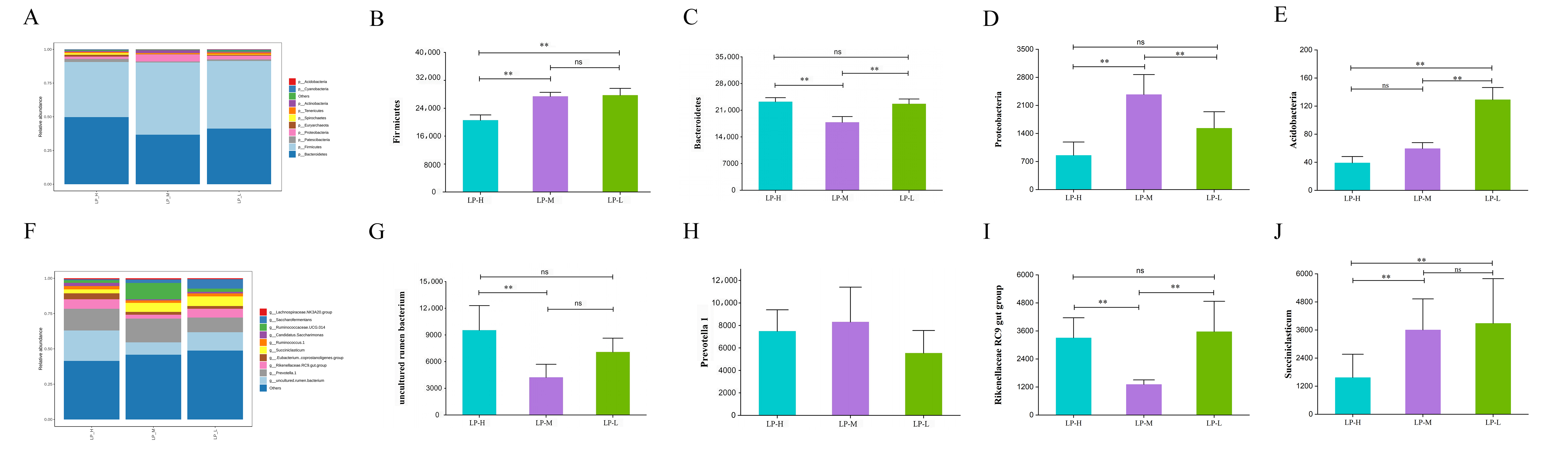Animals 14 01533 g002