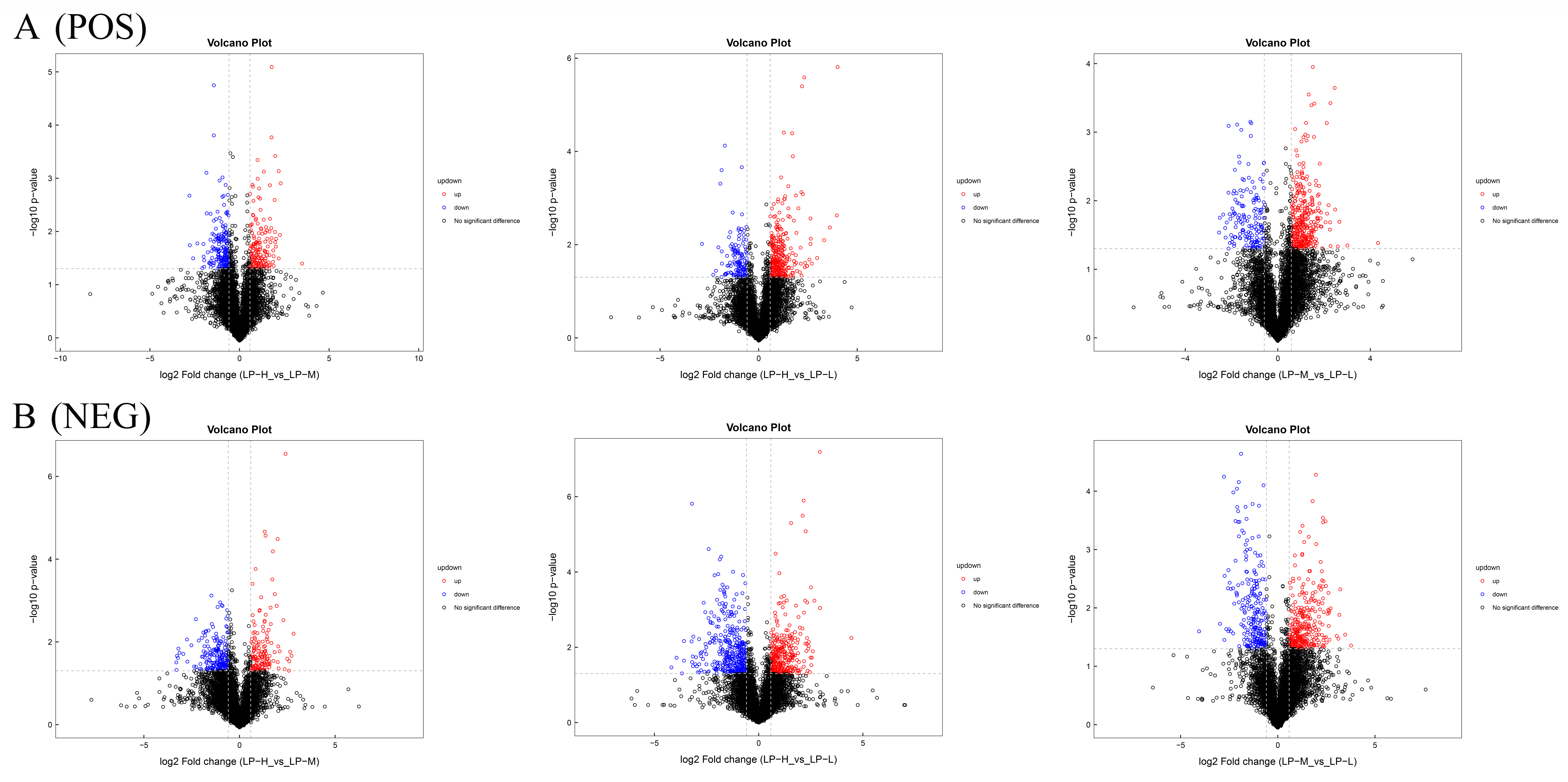 Animals 14 01533 g004