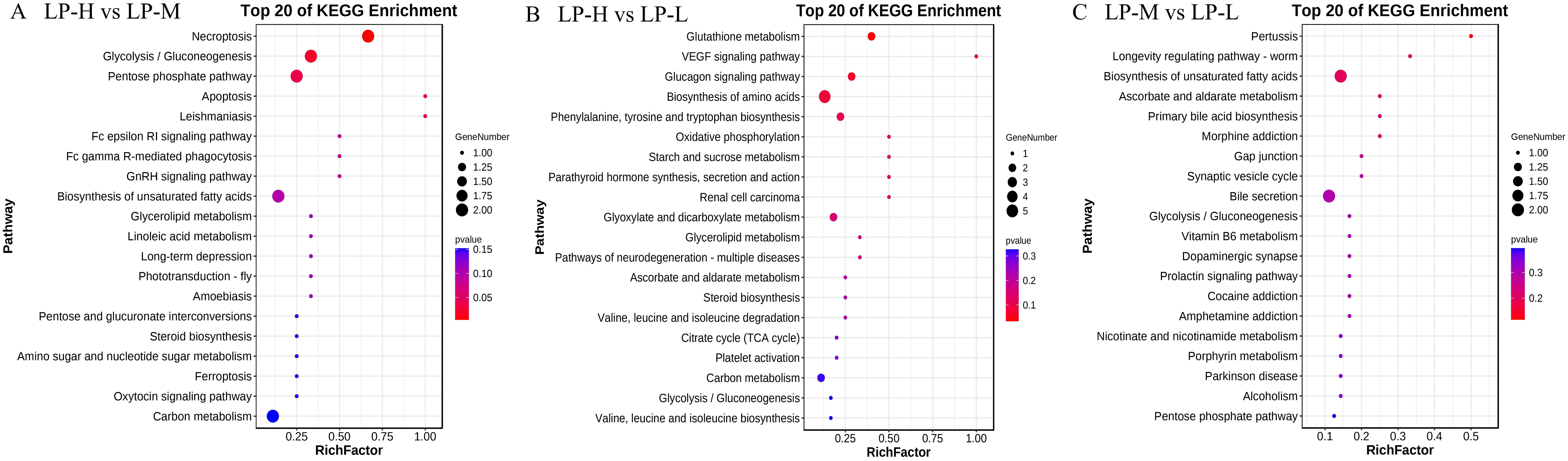 Animals 14 01533 g006