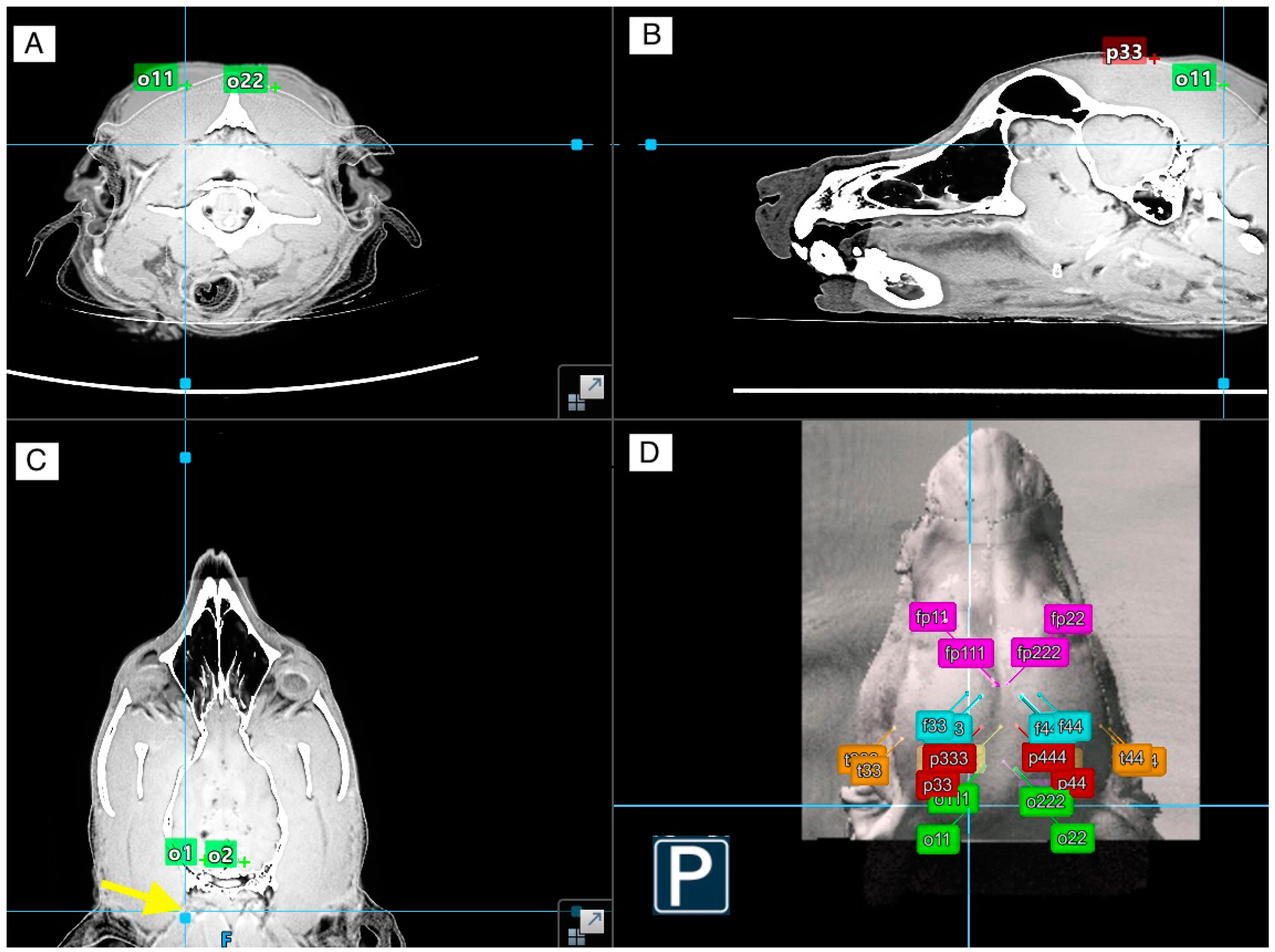 Animals 14 01539 g004