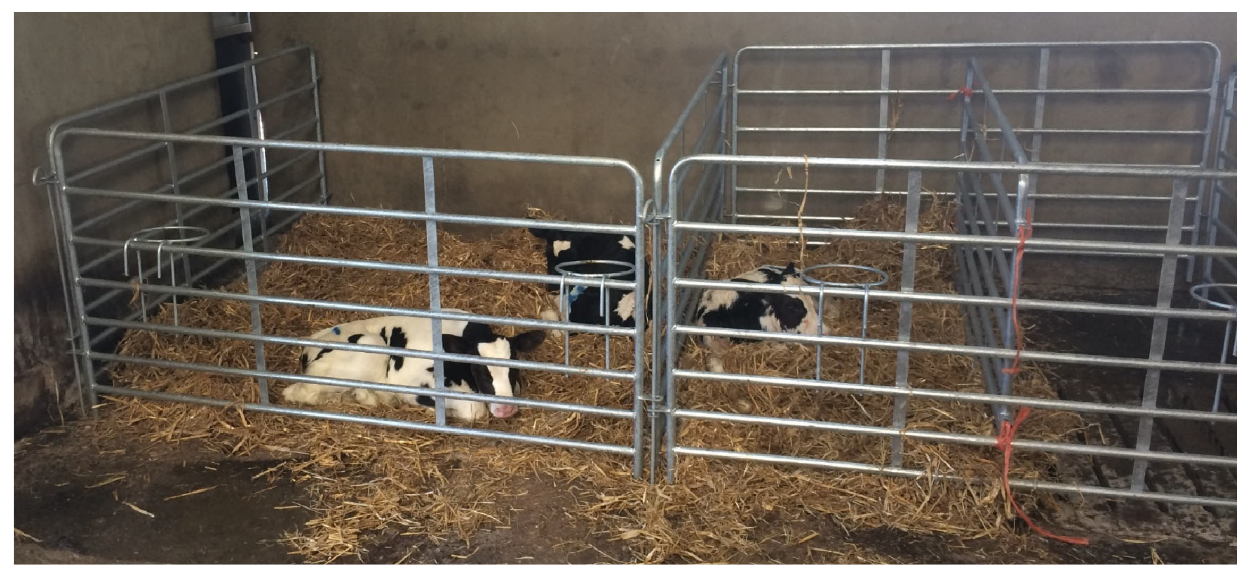 Animals 14 01540 g001