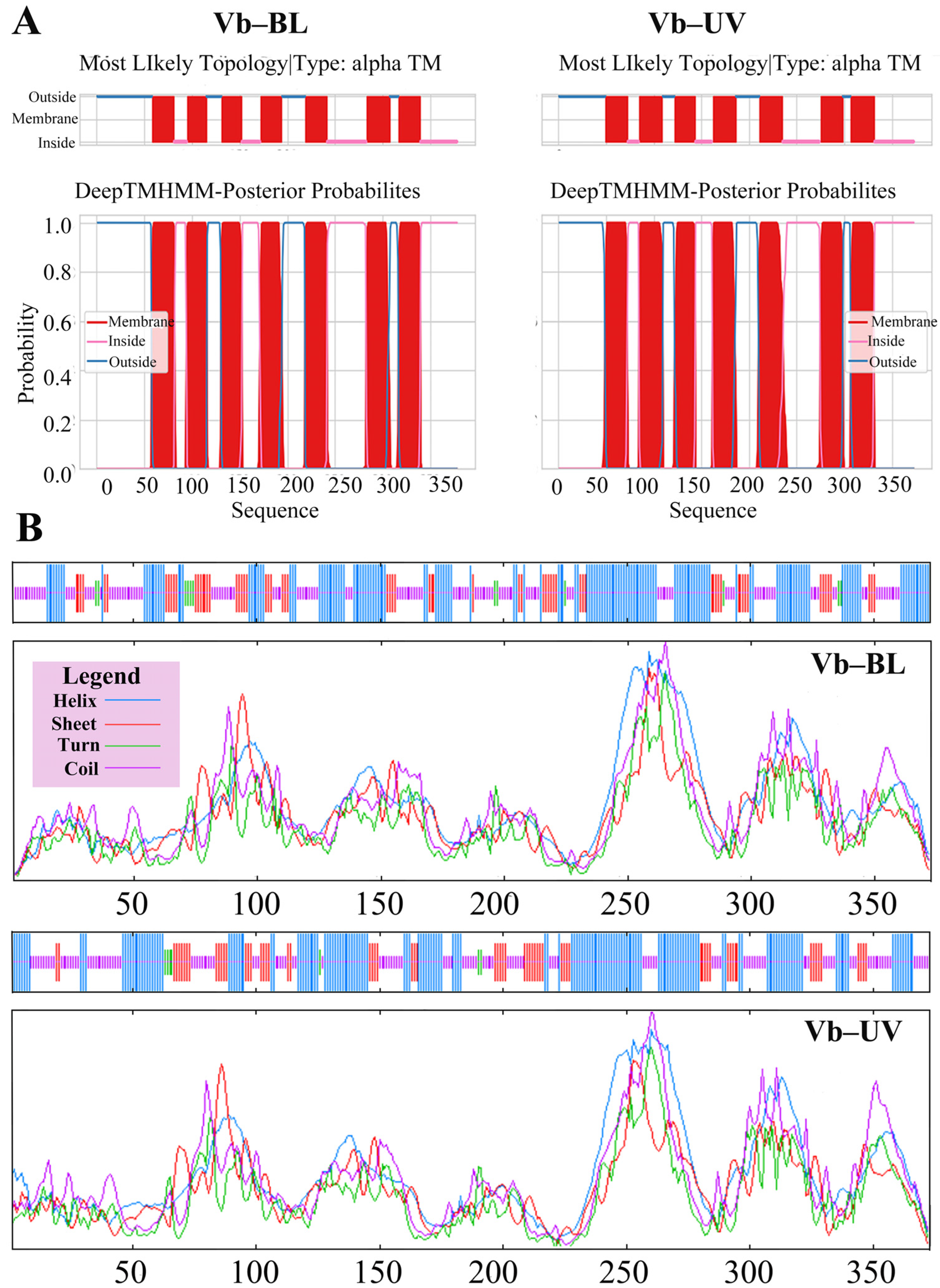 Animals 14 01543 g004
