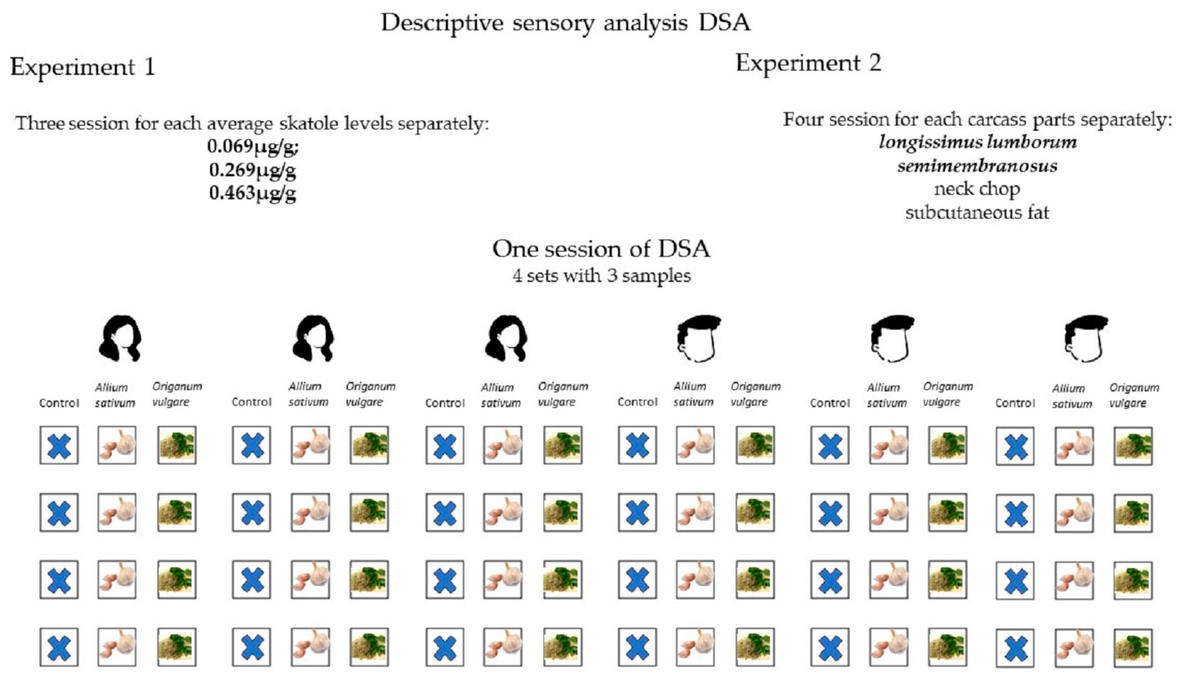 Animals 14 01544 g001
