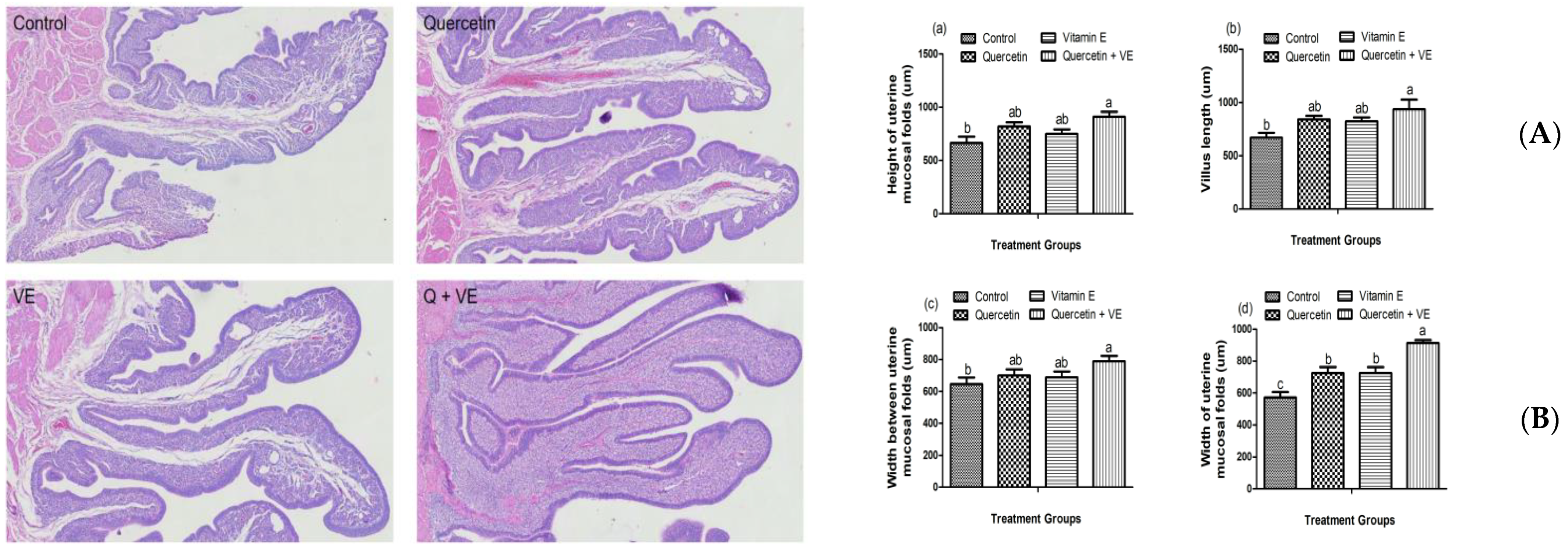 Animals 14 01554 g008