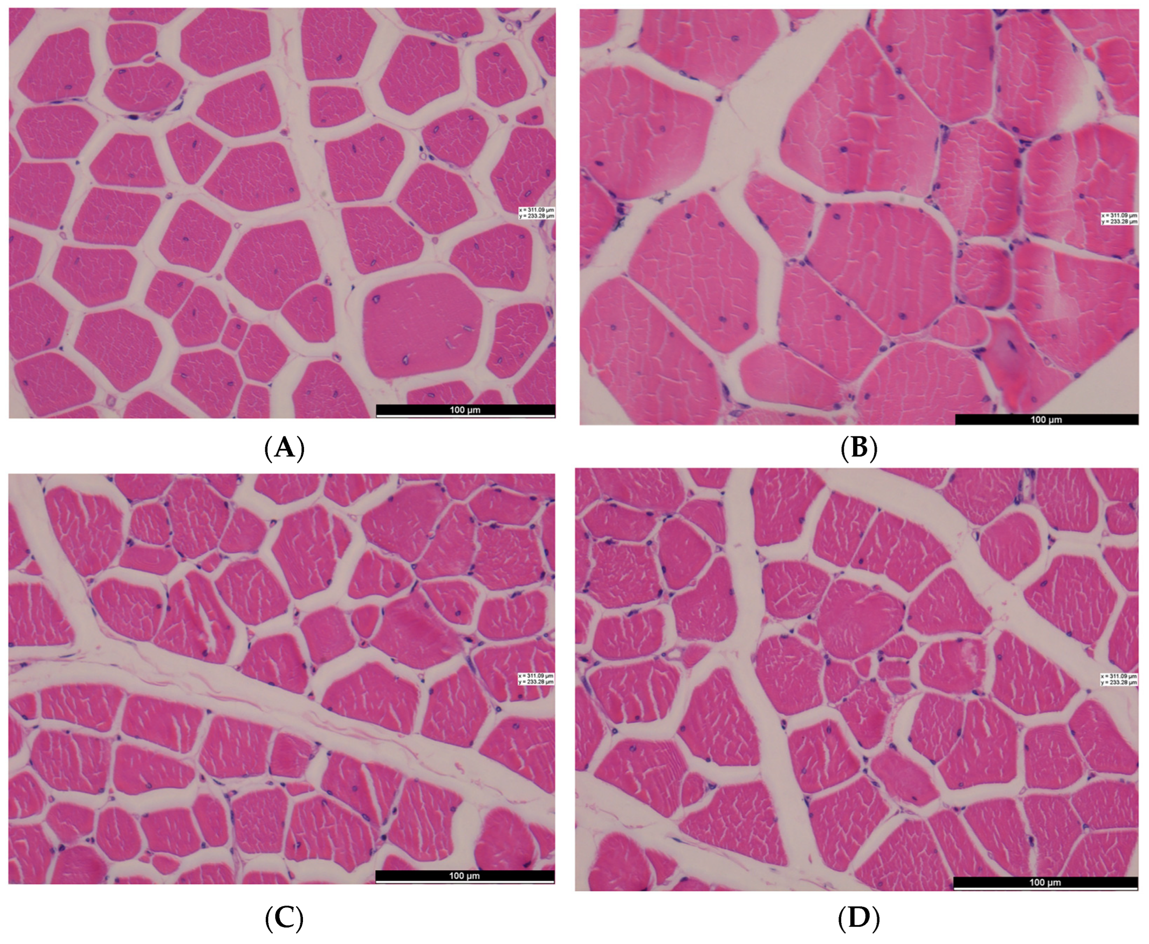 Animals 14 01556 g001