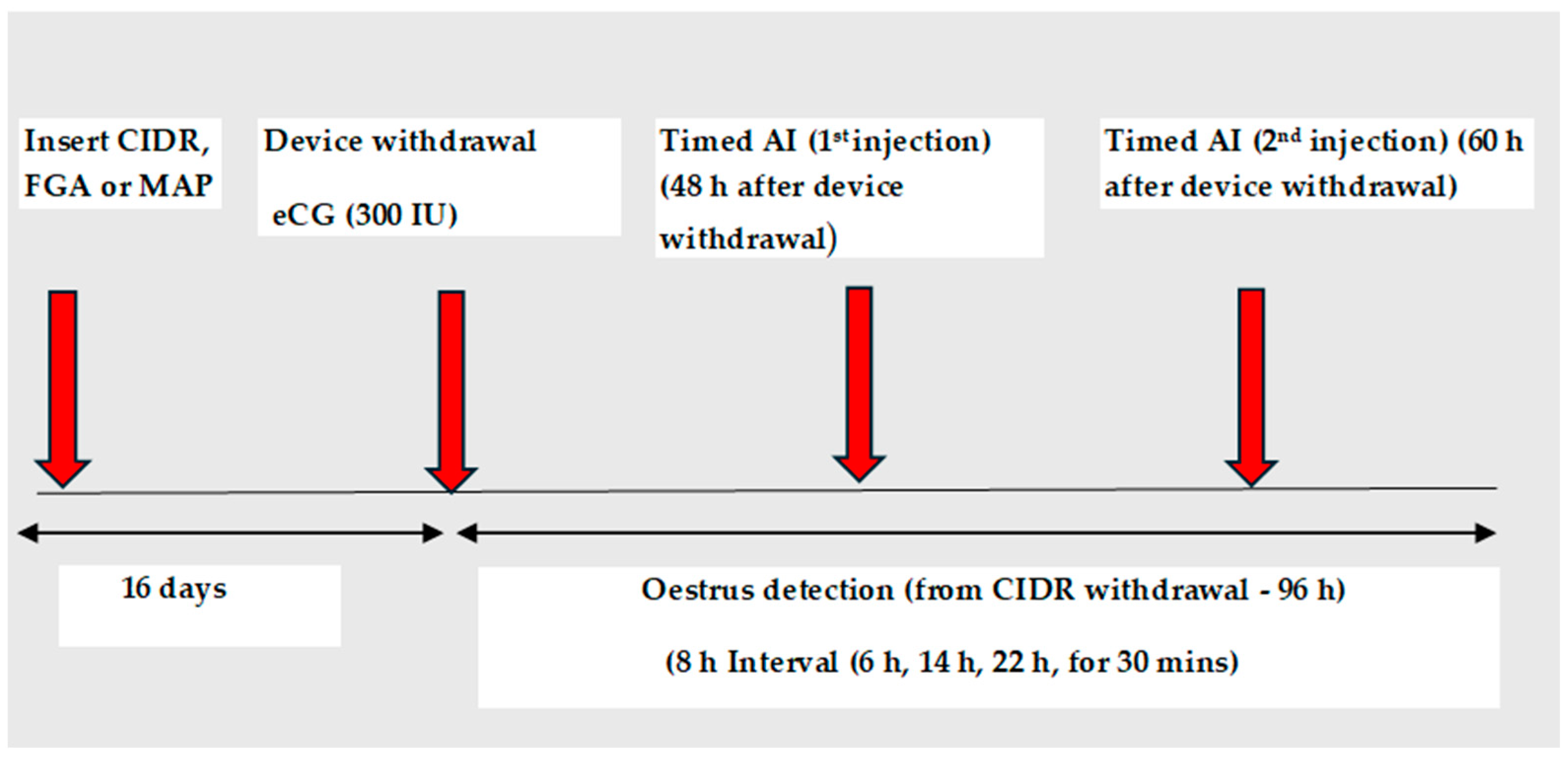 Animals Free FullText Use of ShortTerm CIDRBased Protocols for