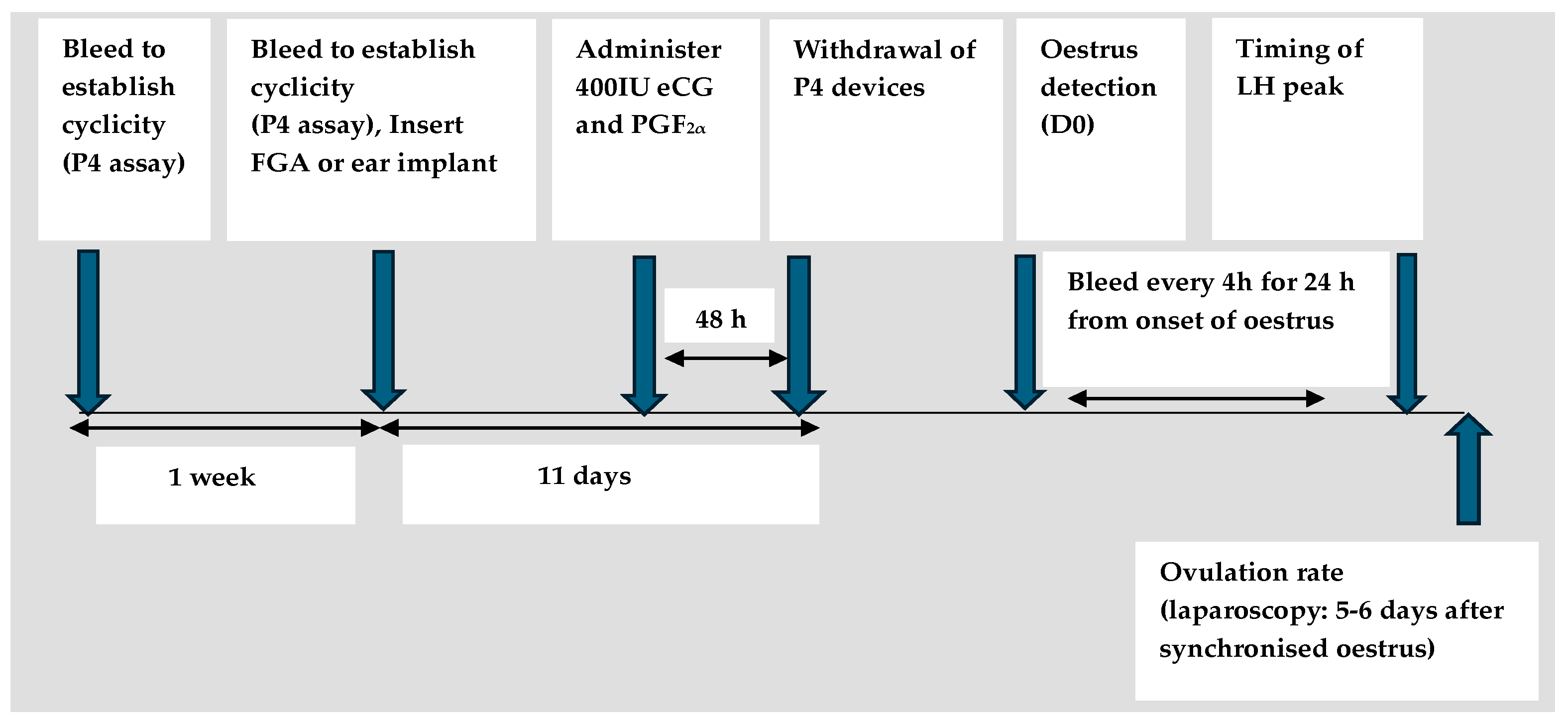 Animals Free FullText Use of ShortTerm CIDRBased Protocols for