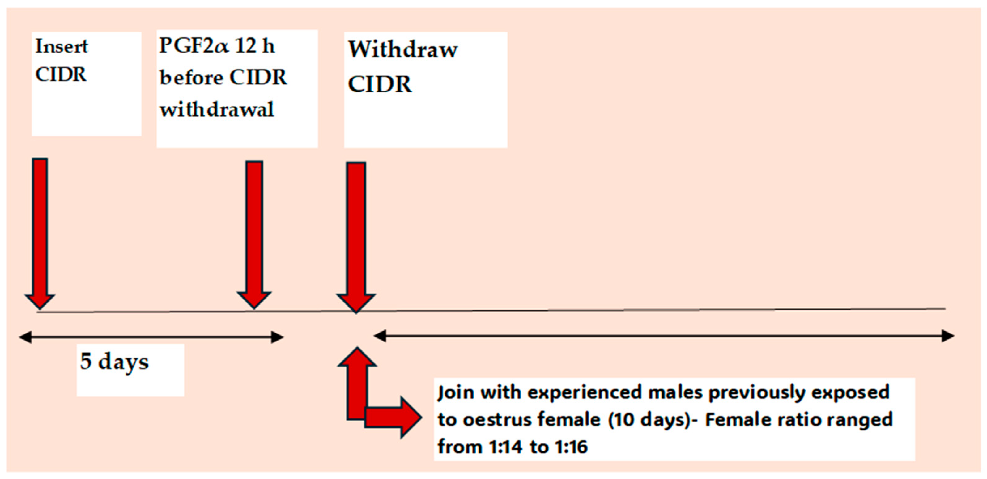 Animals Free FullText Use of ShortTerm CIDRBased Protocols for
