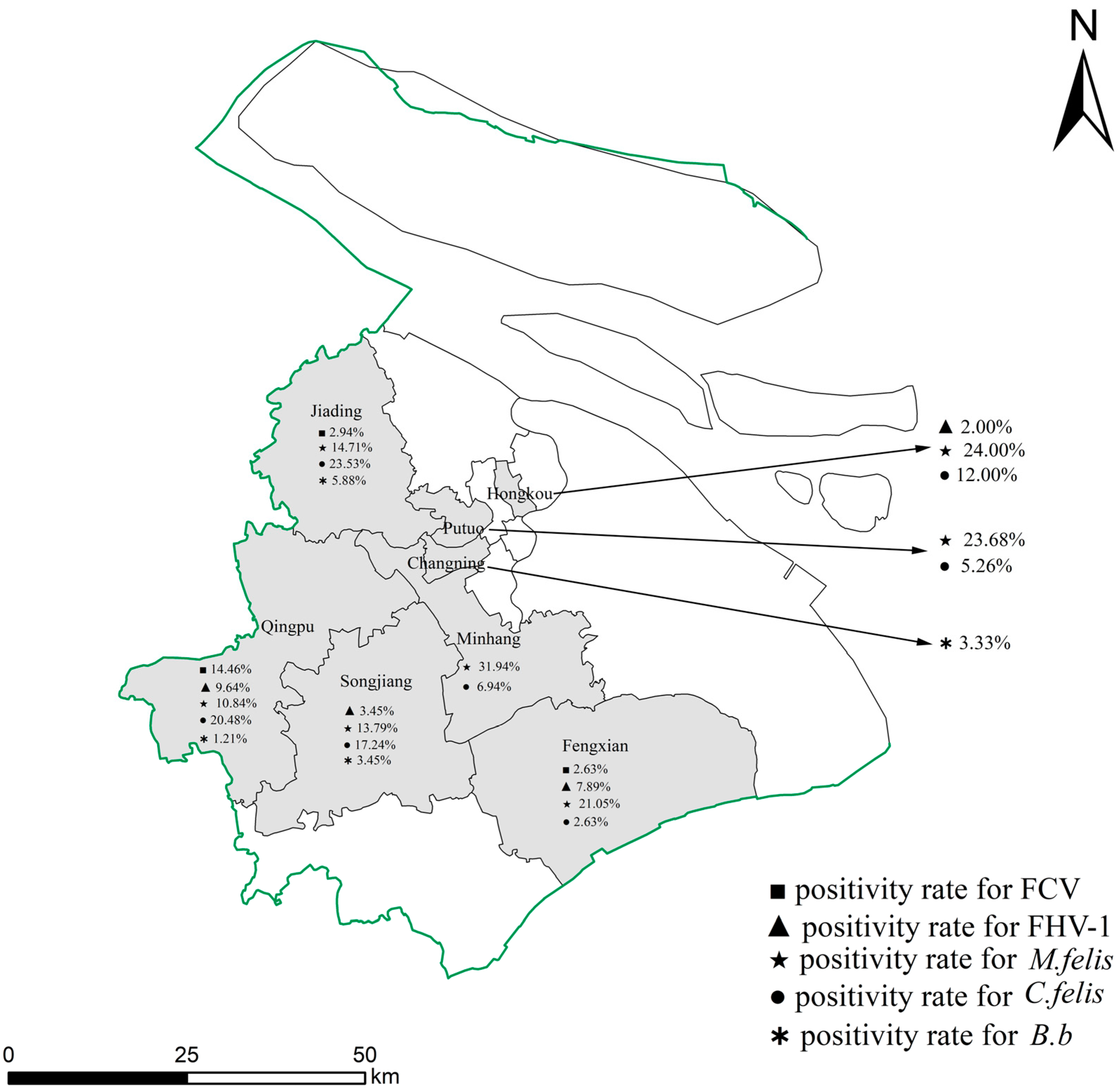 Animals 14 01562 g001