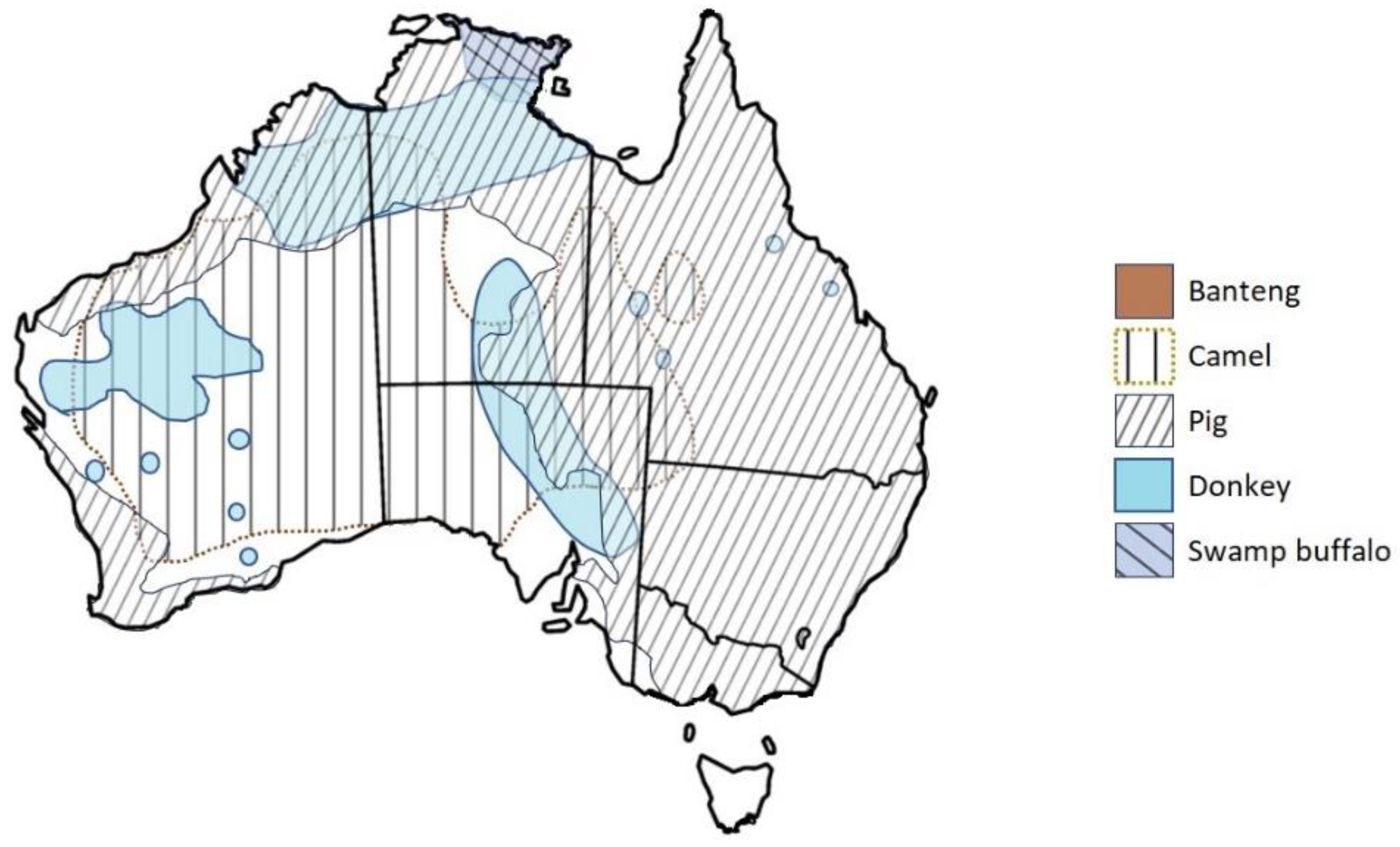 Animals 14 01576 g003