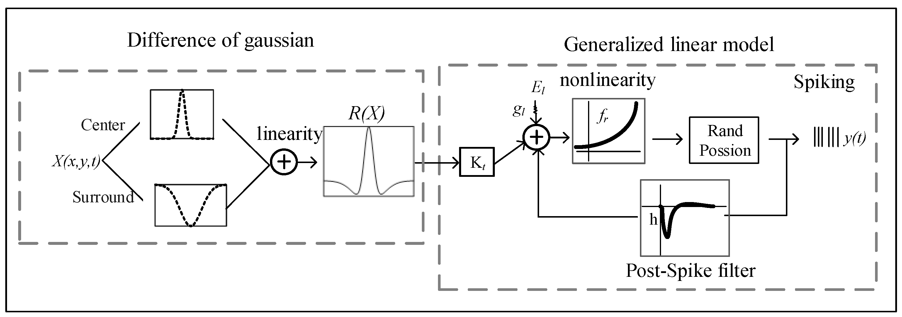 Animals 14 01577 g001