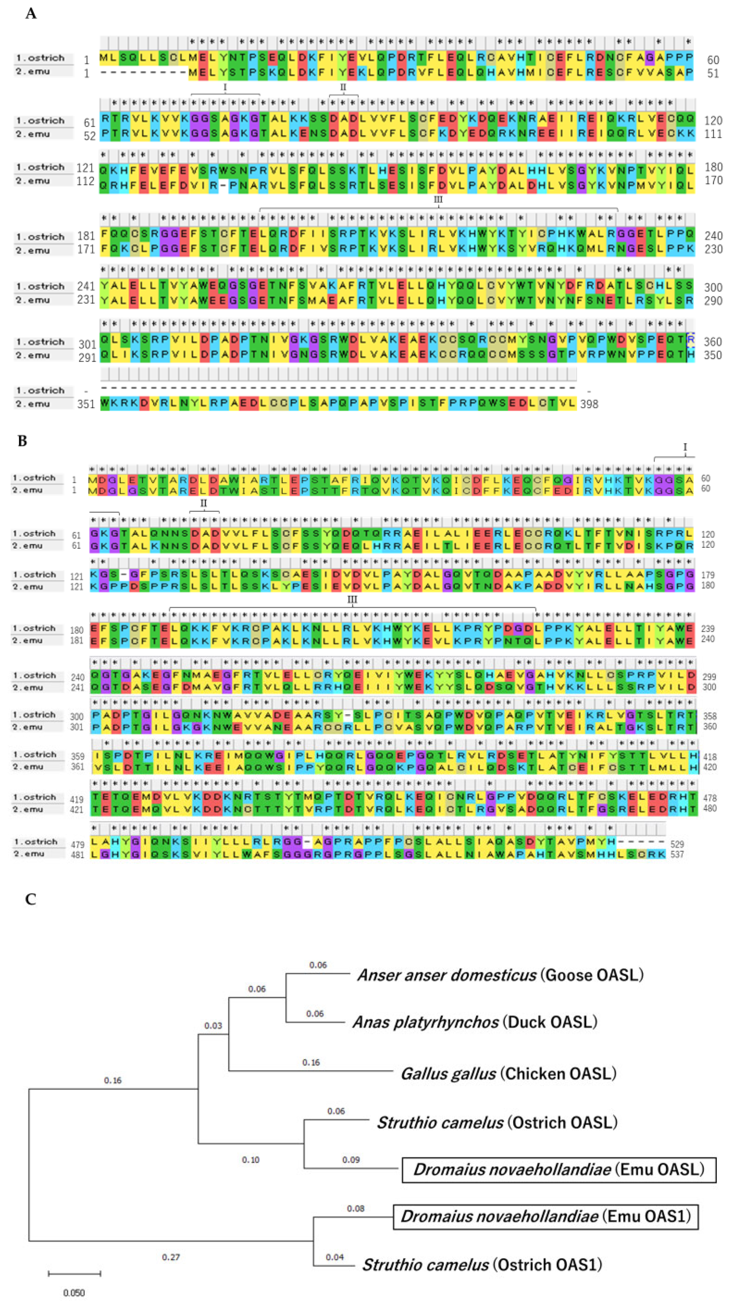 Animals 14 01579 g001