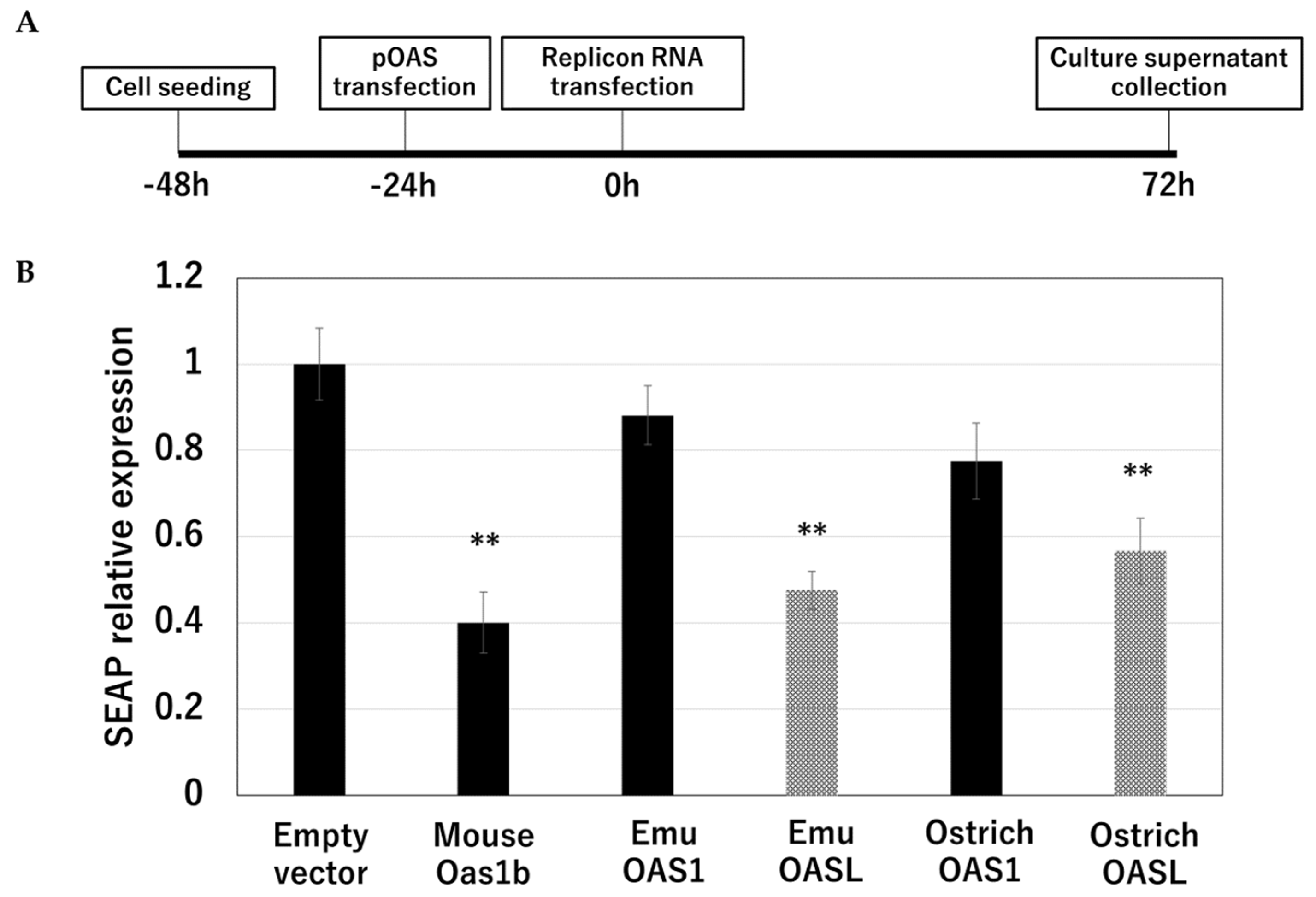 Animals 14 01579 g003