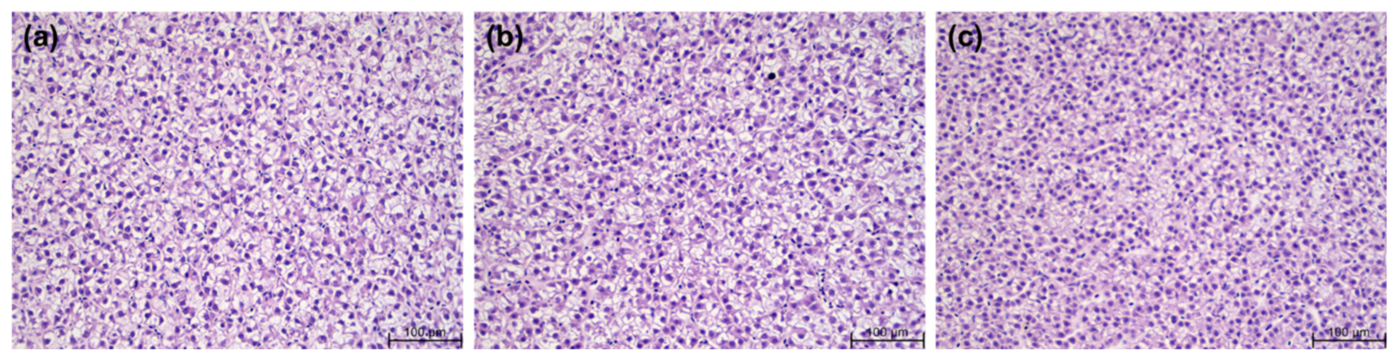 Animals 14 01581 g002