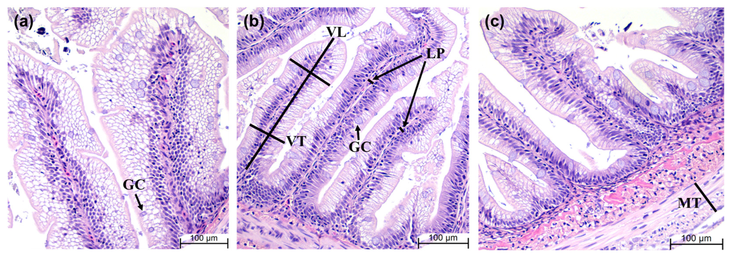 Animals 14 01581 g003
