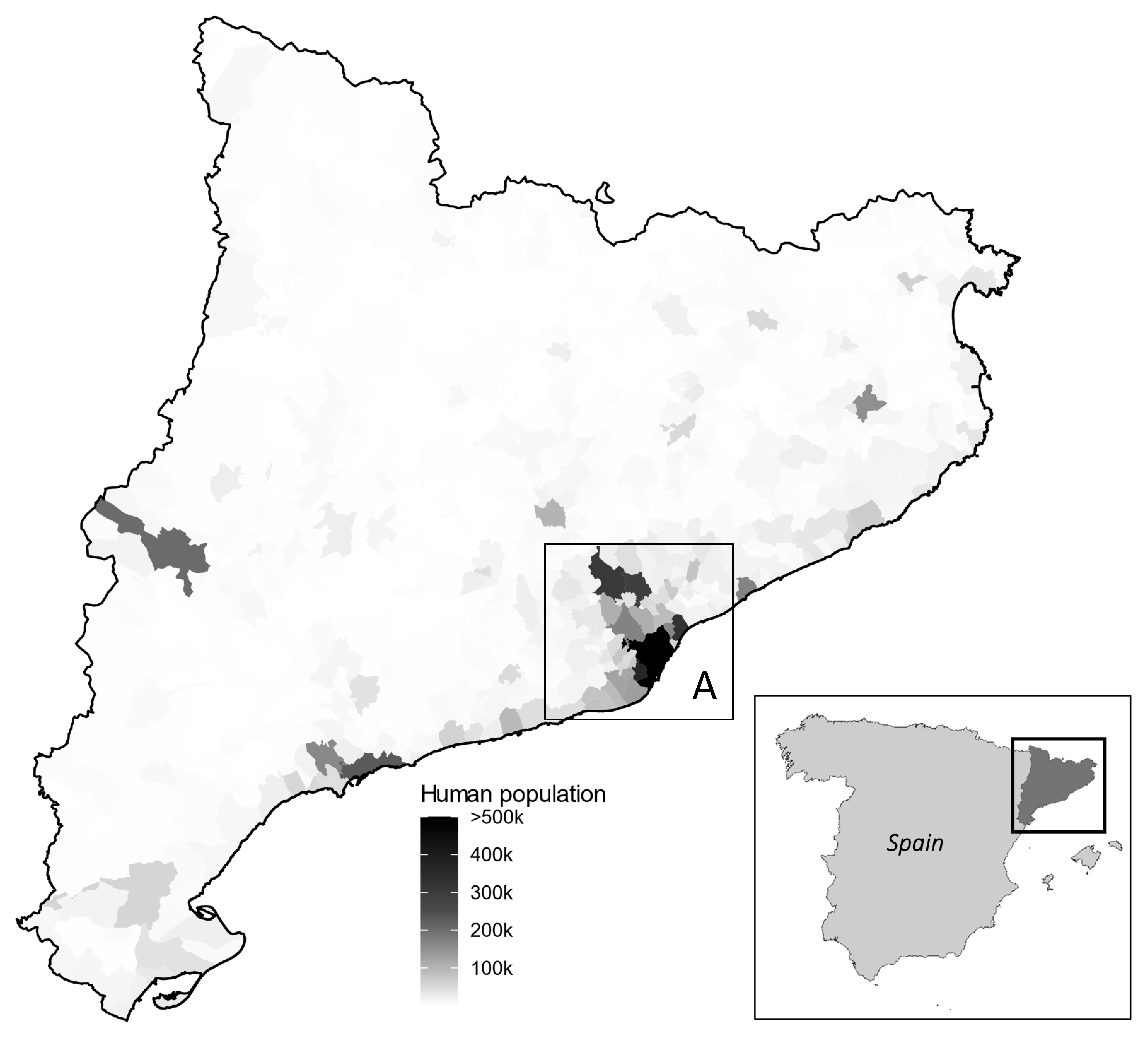 Animals 14 01596 g001