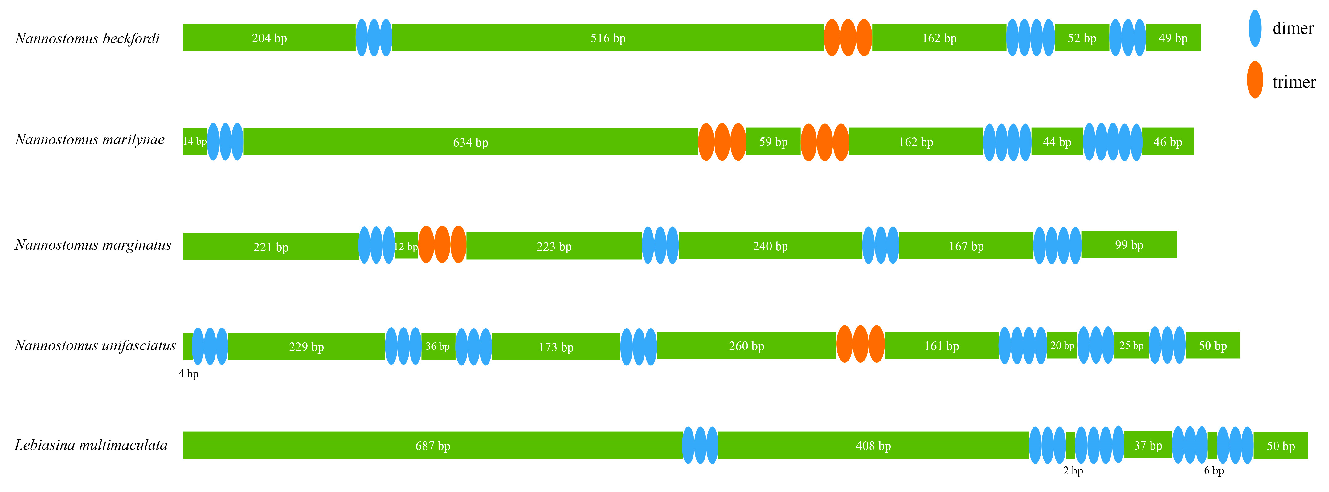 Animals 14 01598 g007