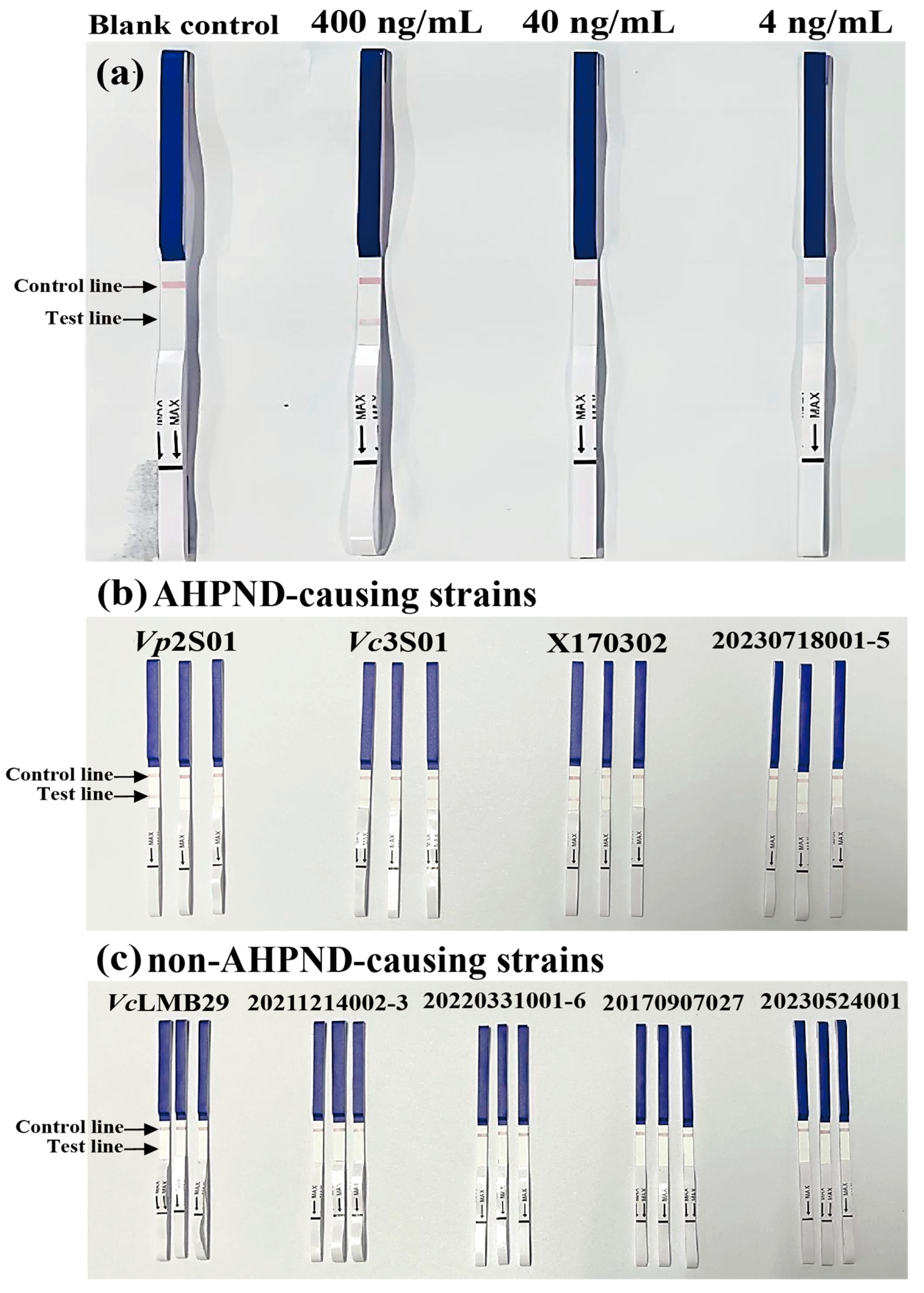 Animals 14 01600 g003