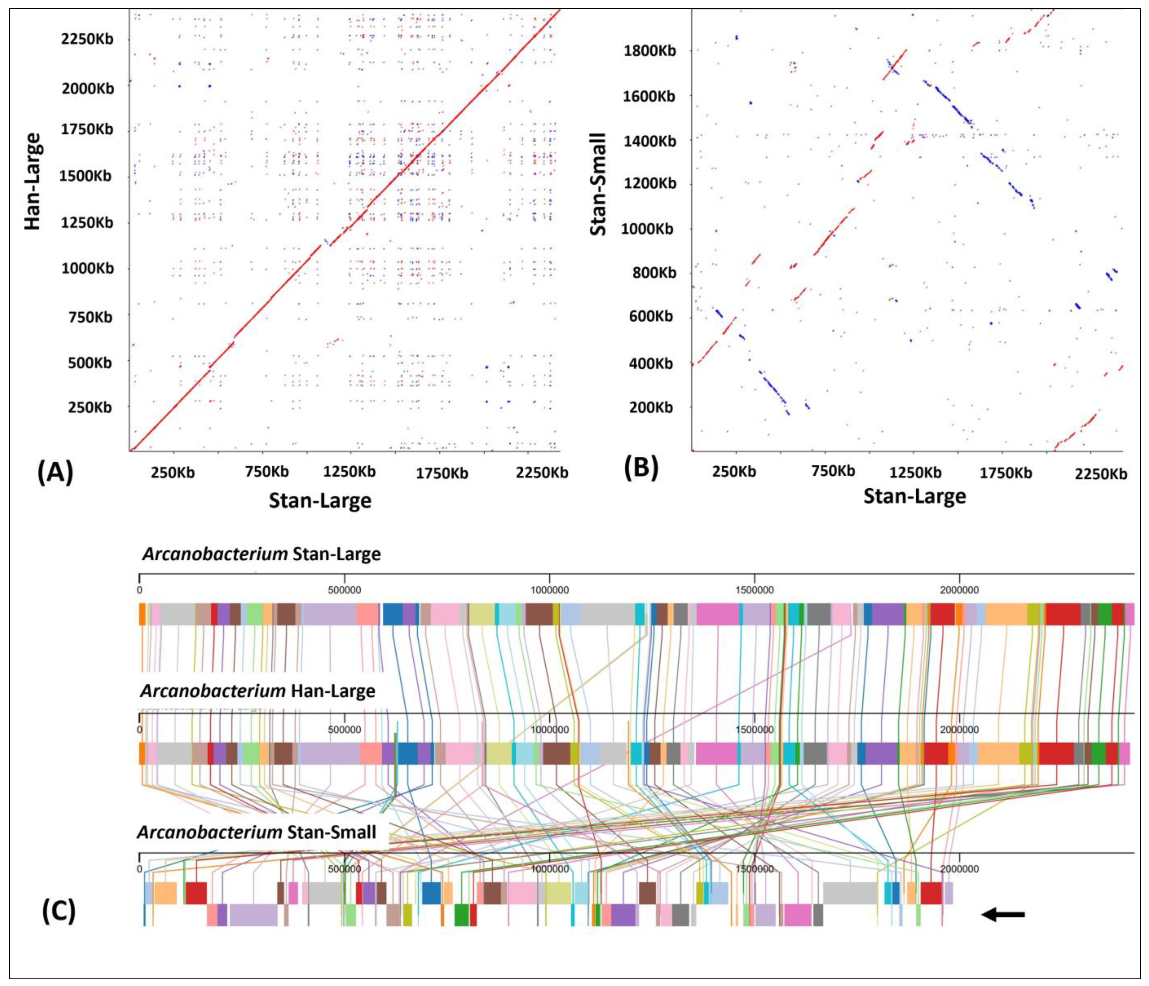 Animals 14 01609 g003