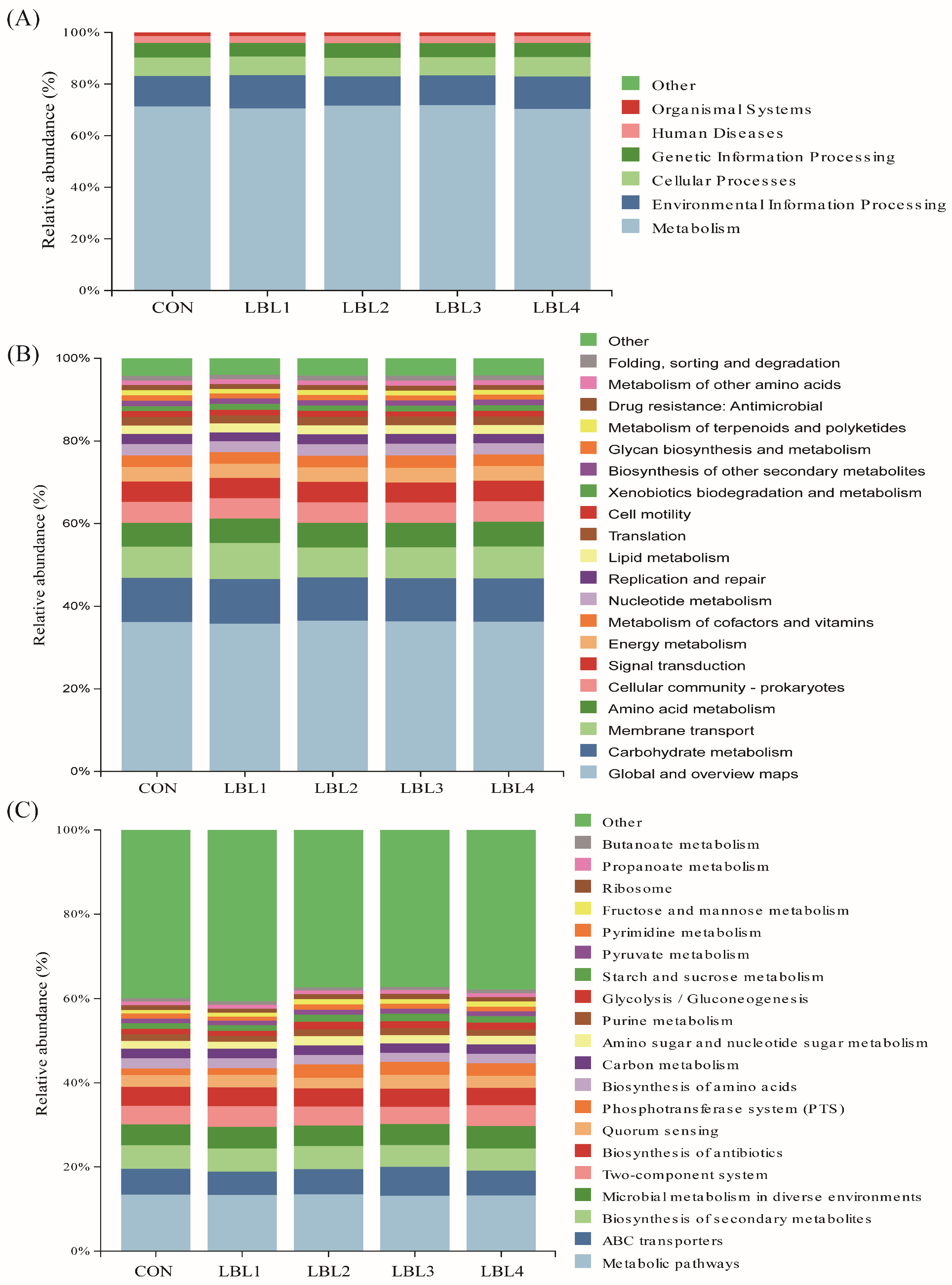 Animals 14 01610 g005